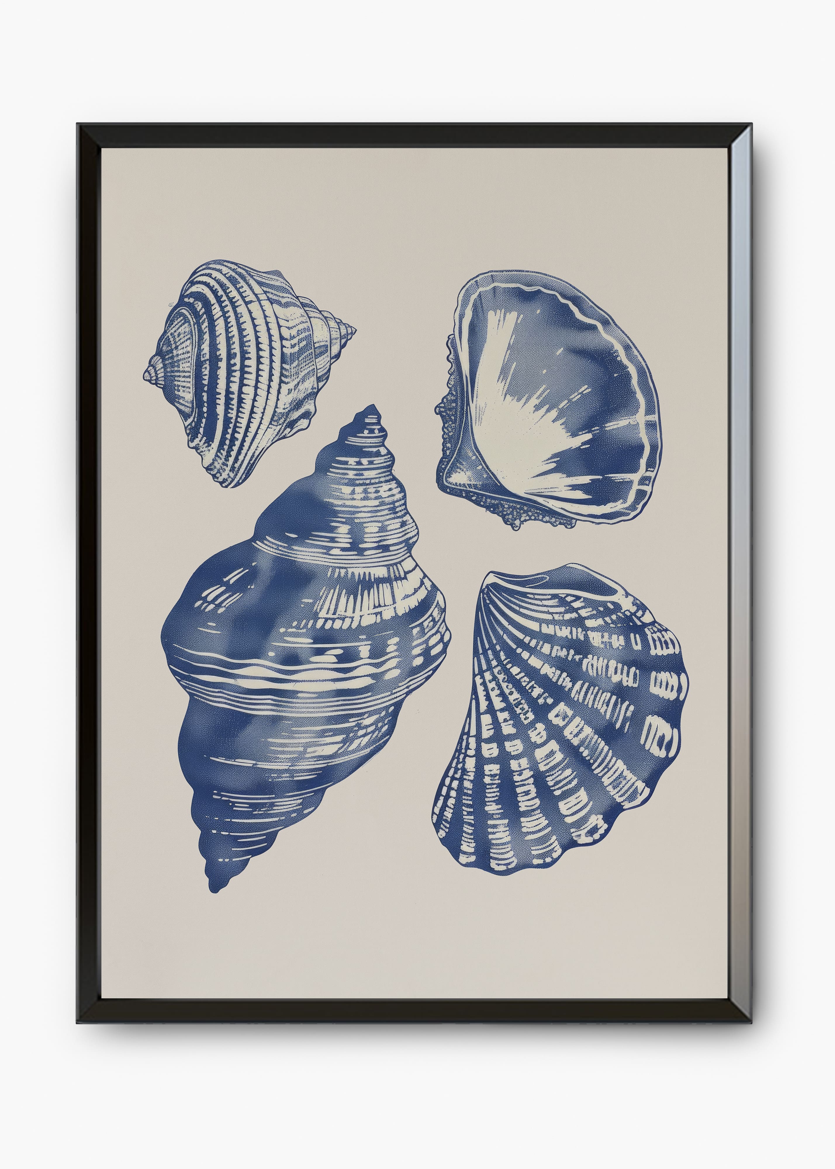 Quadro Shells II