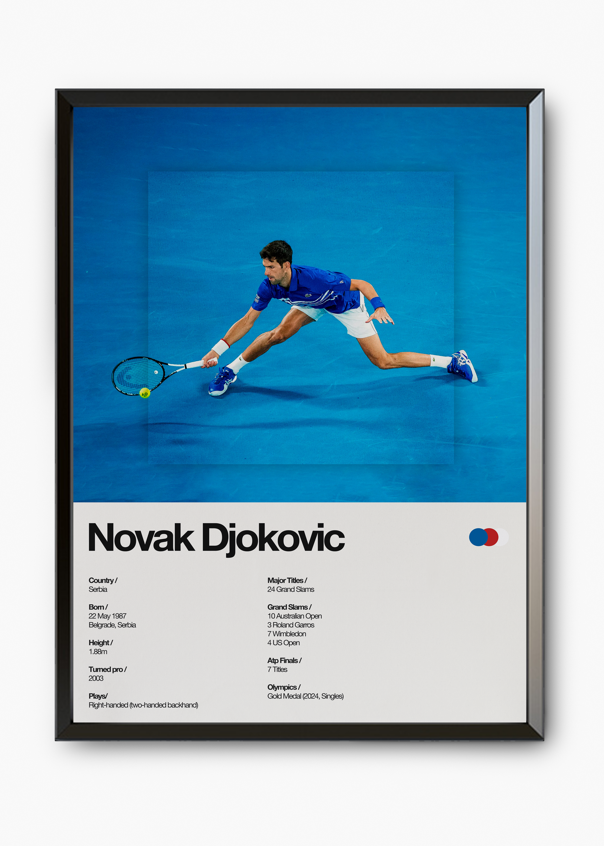 Quadro Novak Djokovic - 7