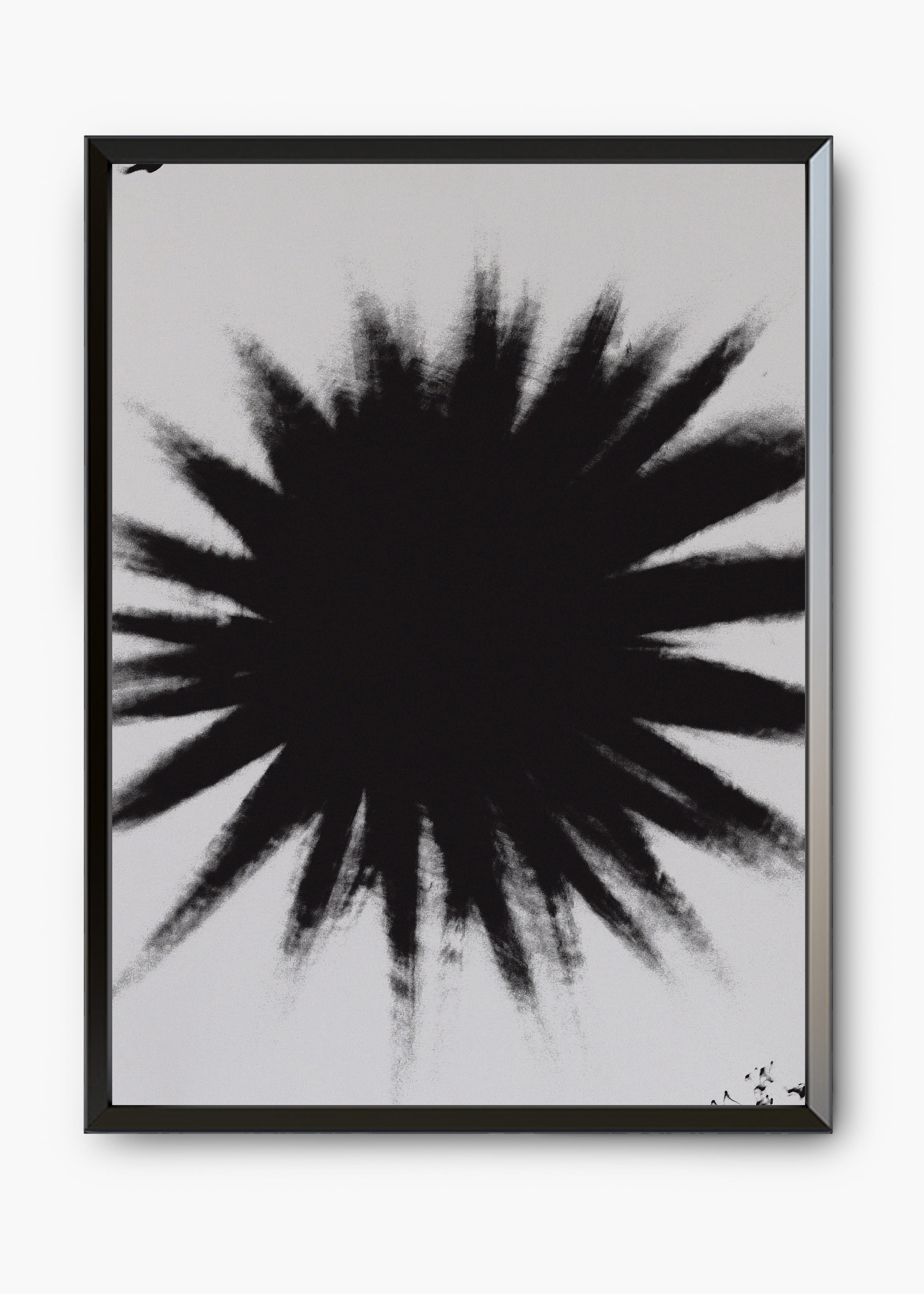 Quadro Star