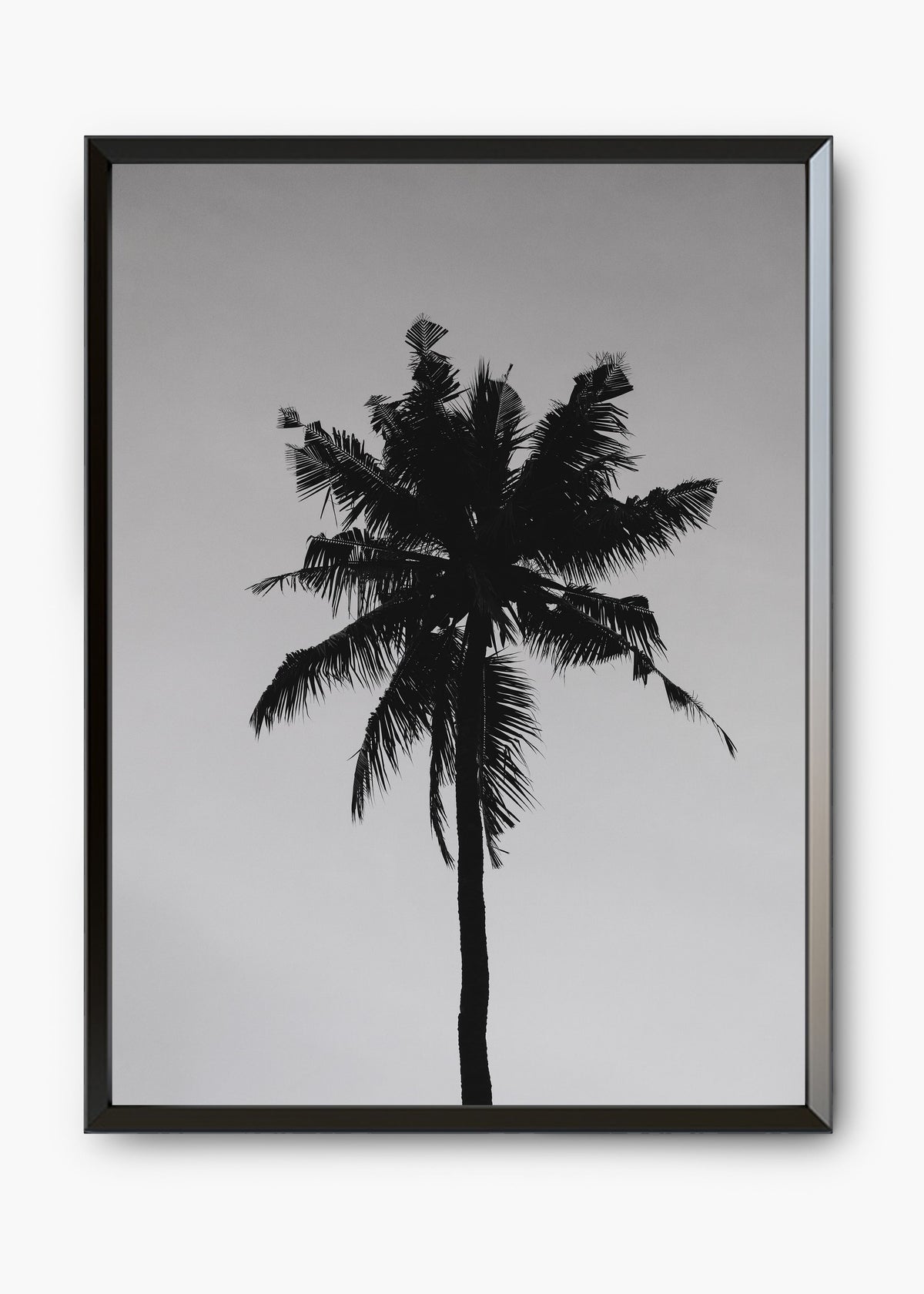 Quadro Sea Nature II