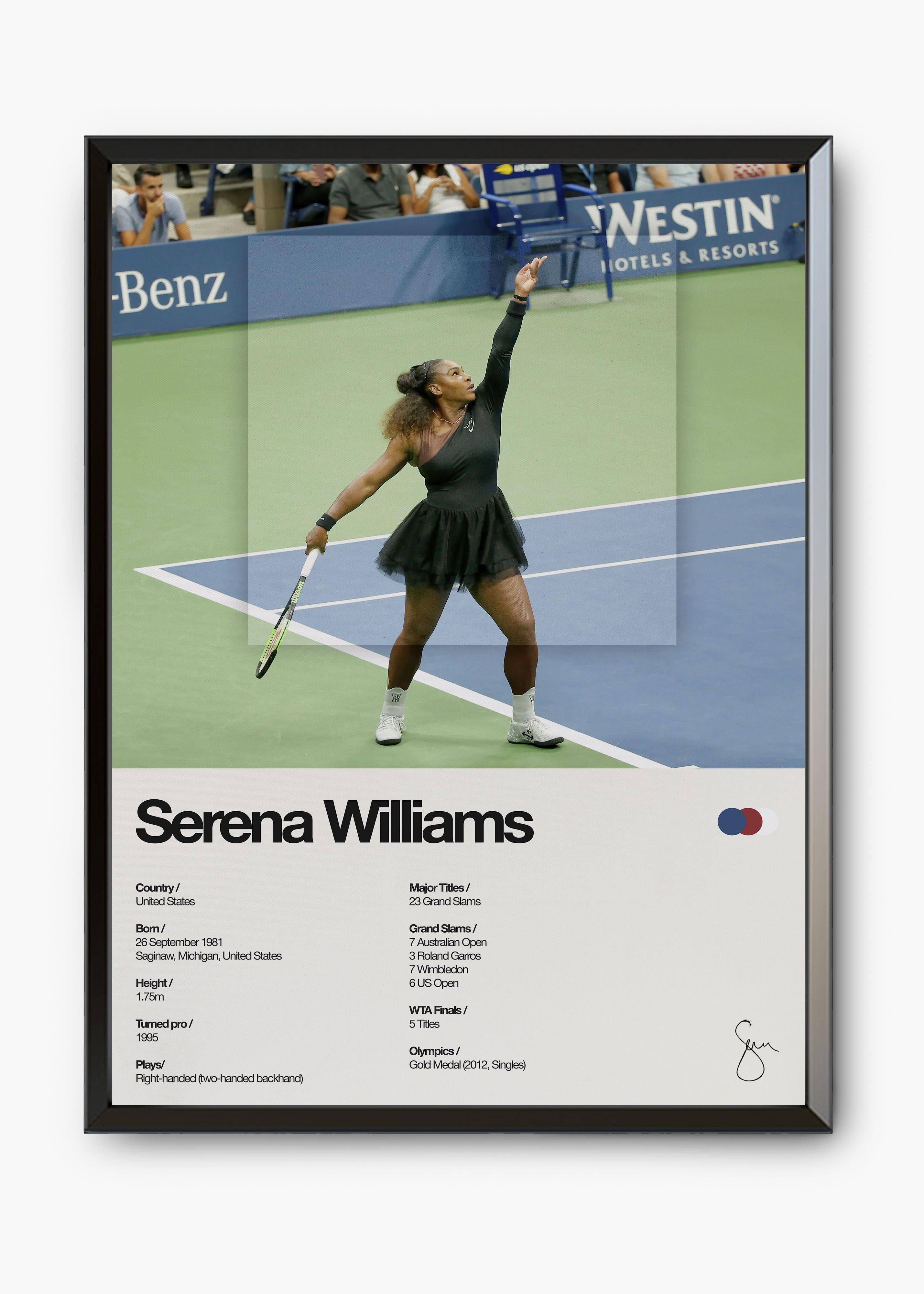 Quadro Serena Williams