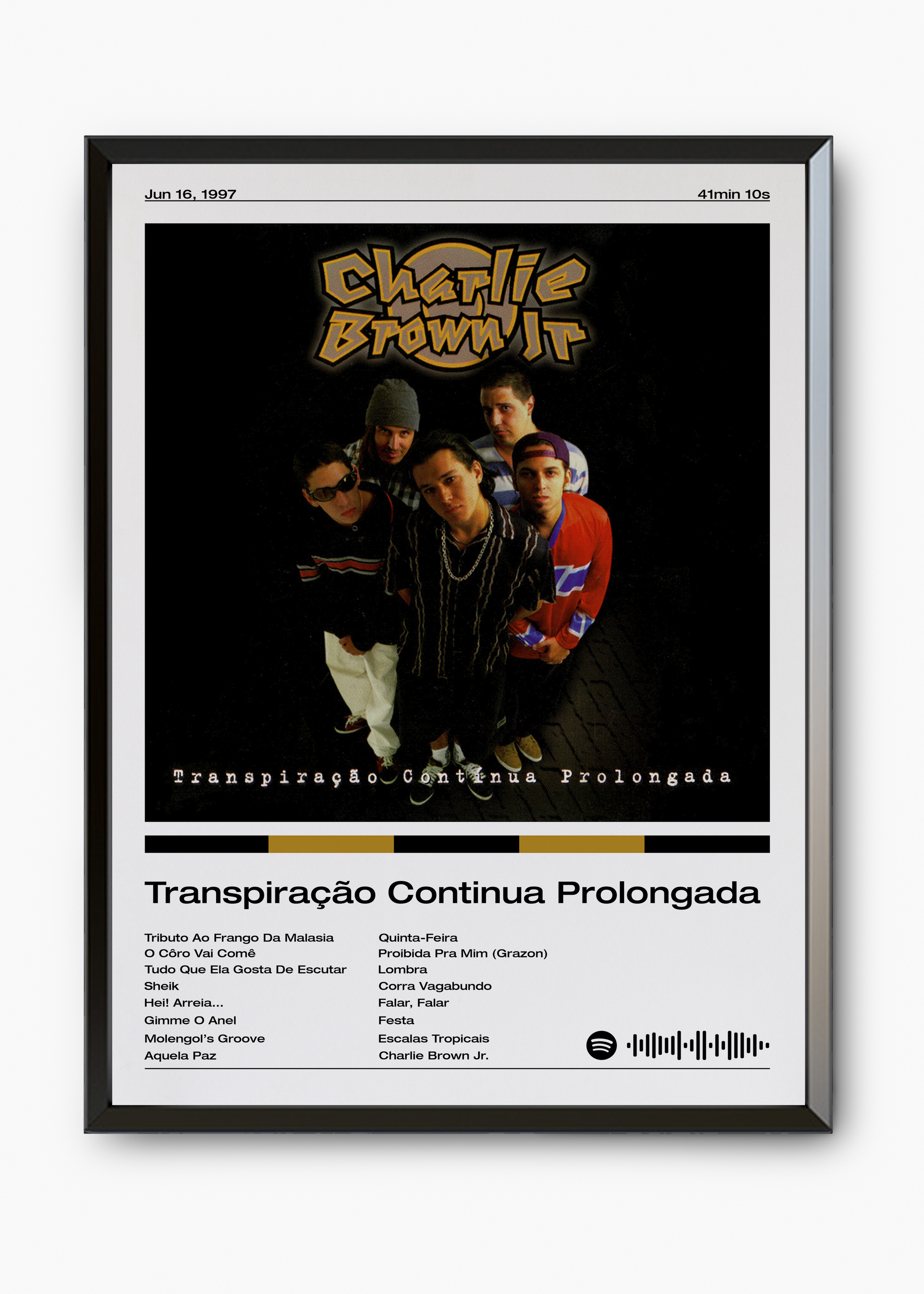 Quadro Charlie Brown Jr. Transpiração Continua Prolongada - 7