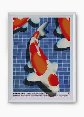 Quadro Koi