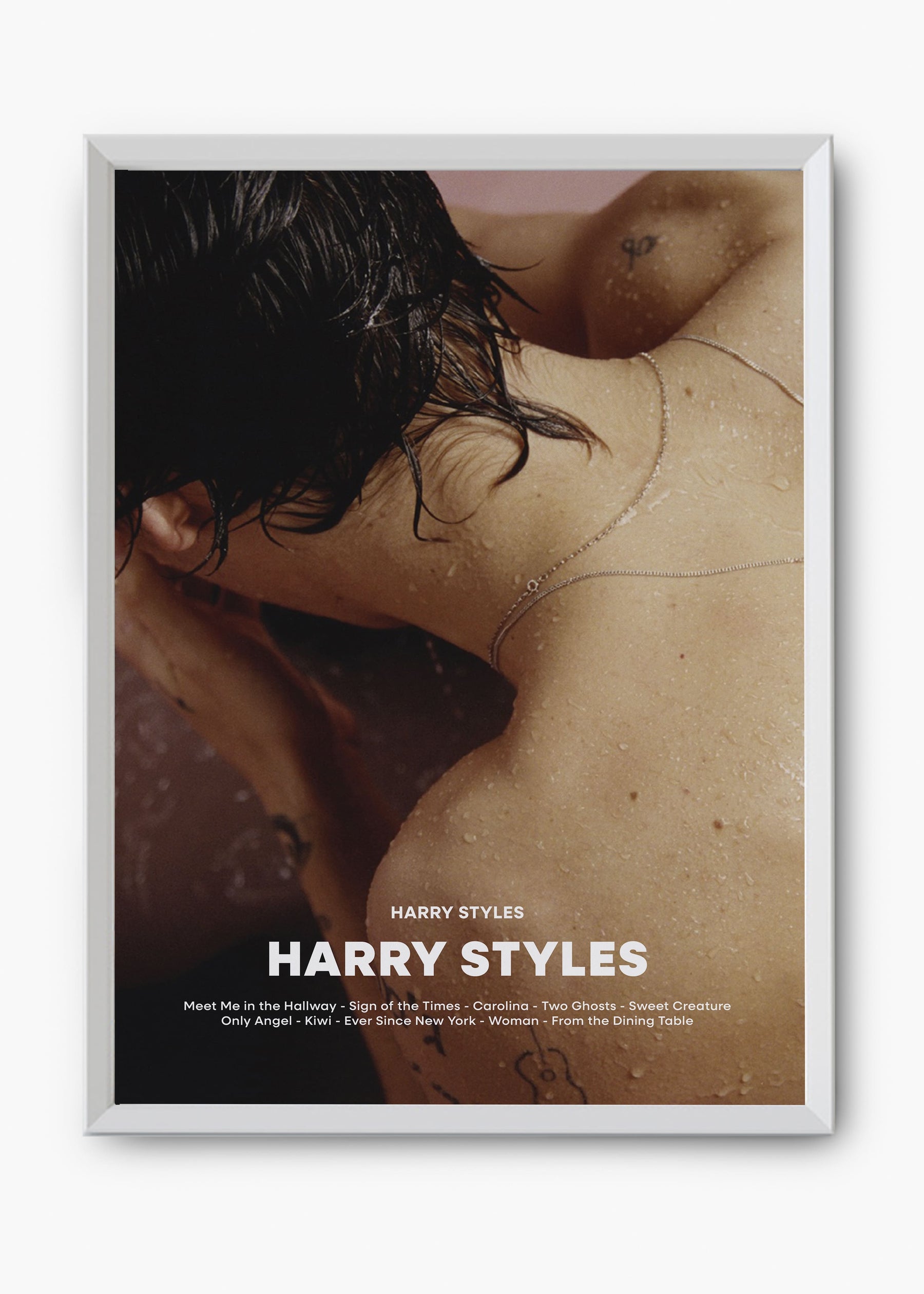 Quadro Harry Styles - Harry Styles Capa