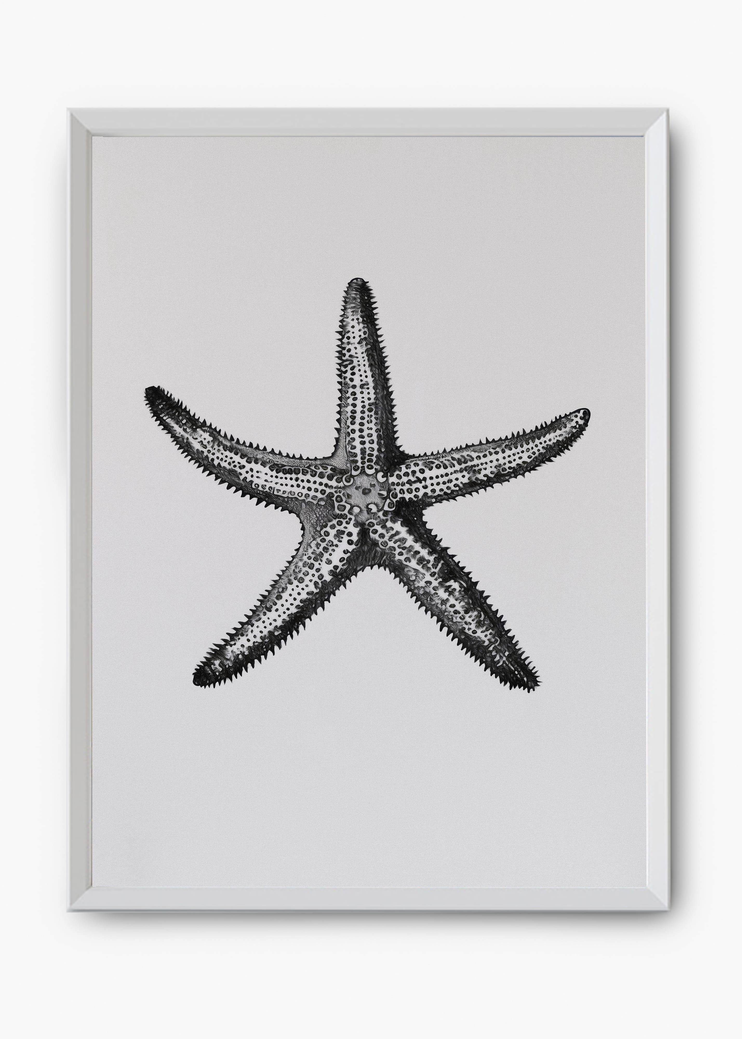 Quadro Starfish