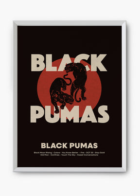 Quadro The Black Pumas - Black Pumas Capa