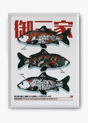 Quadro Koi Fish