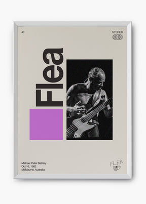 Quadro Signature Flea