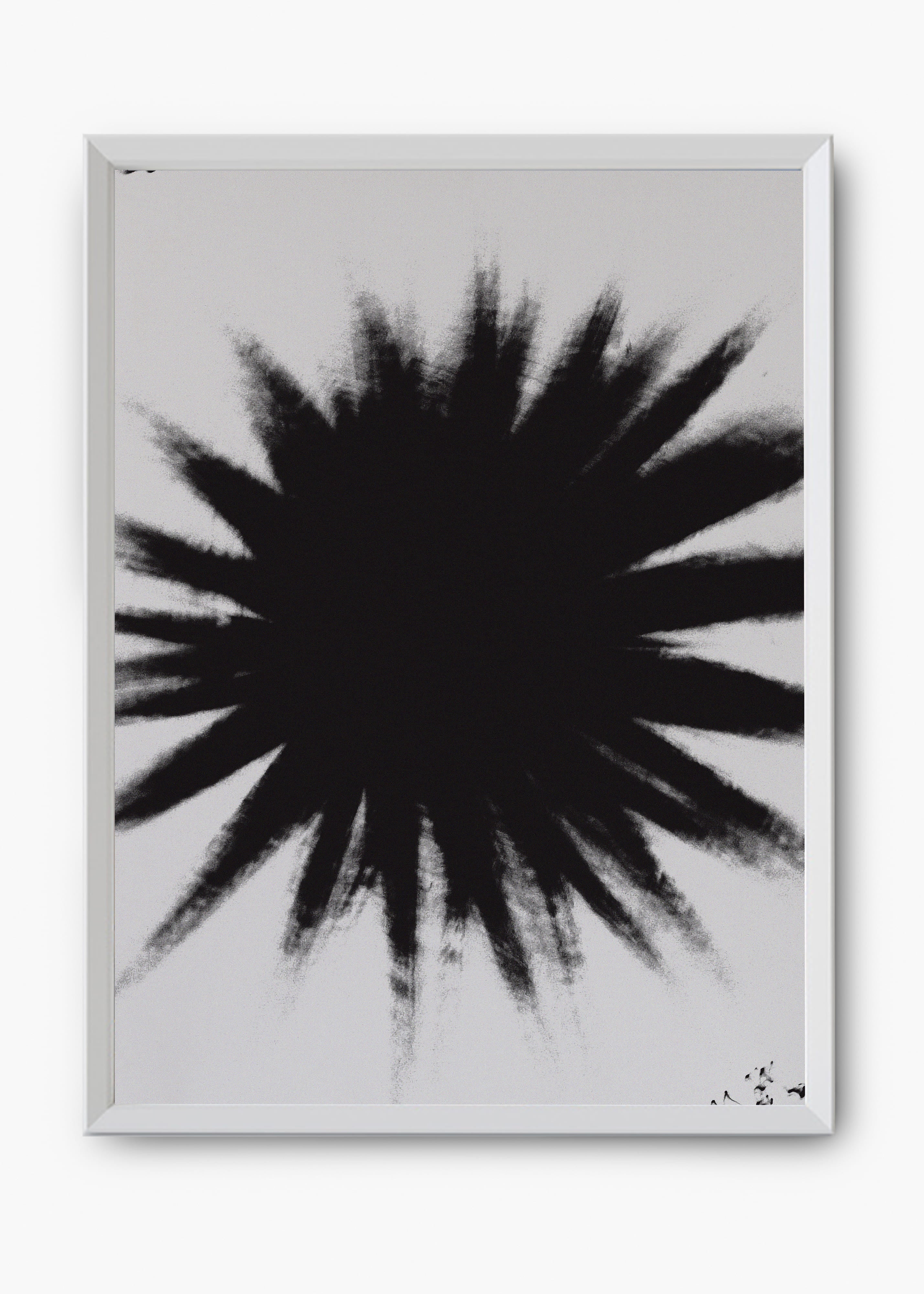 Quadro Star