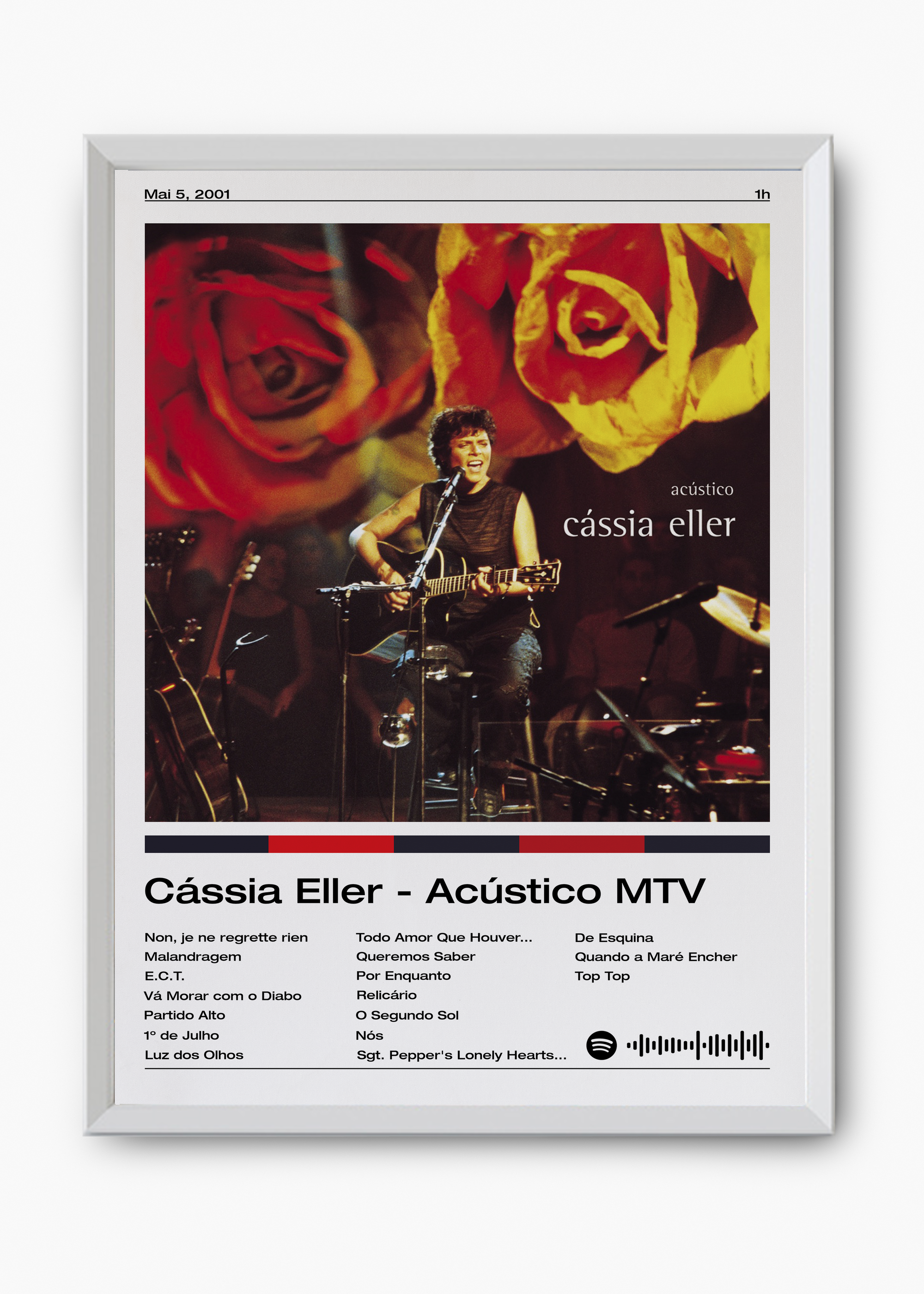 Quadro Cássia Eller Acústico MTV - 8