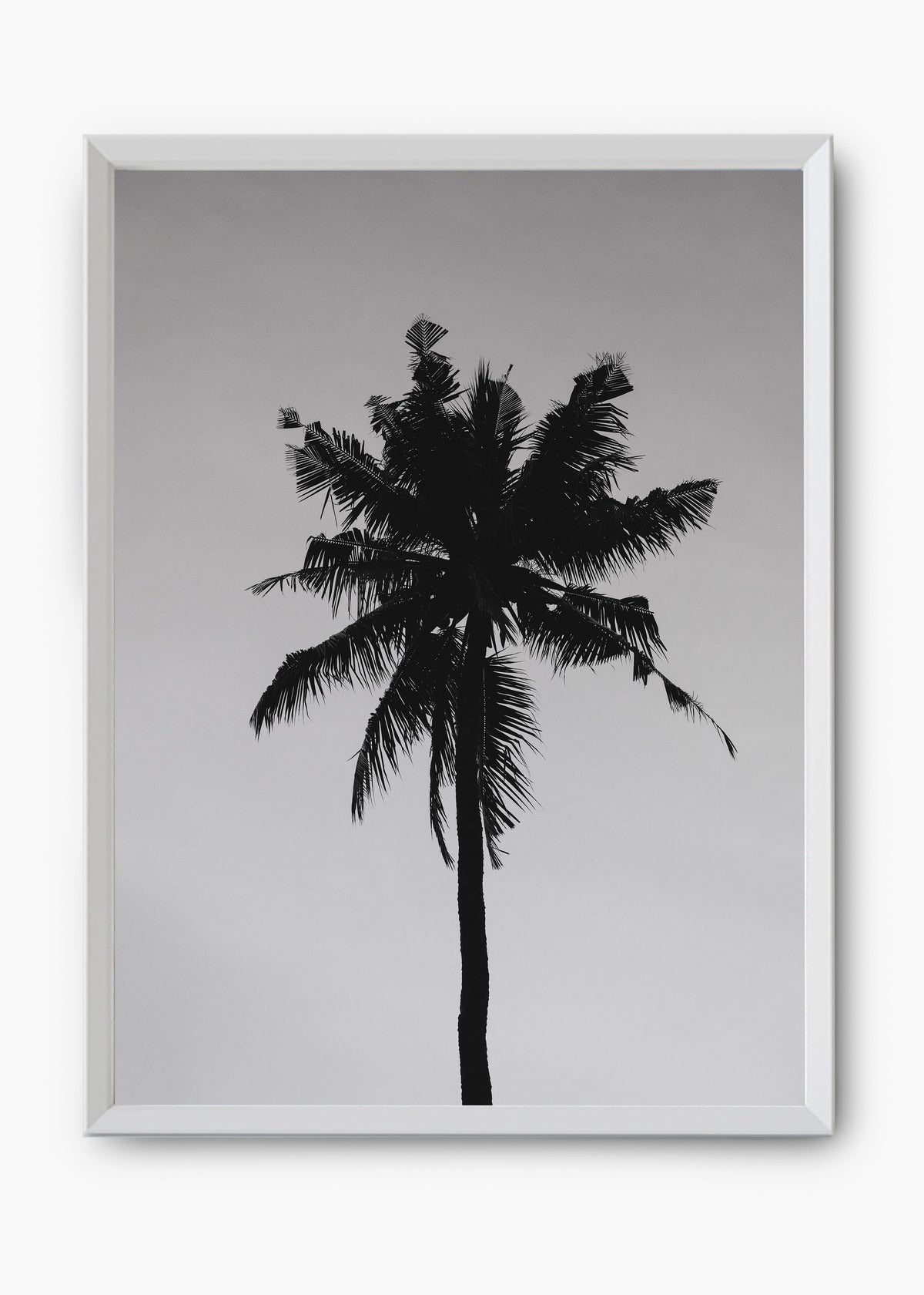 Quadro Sea Nature II