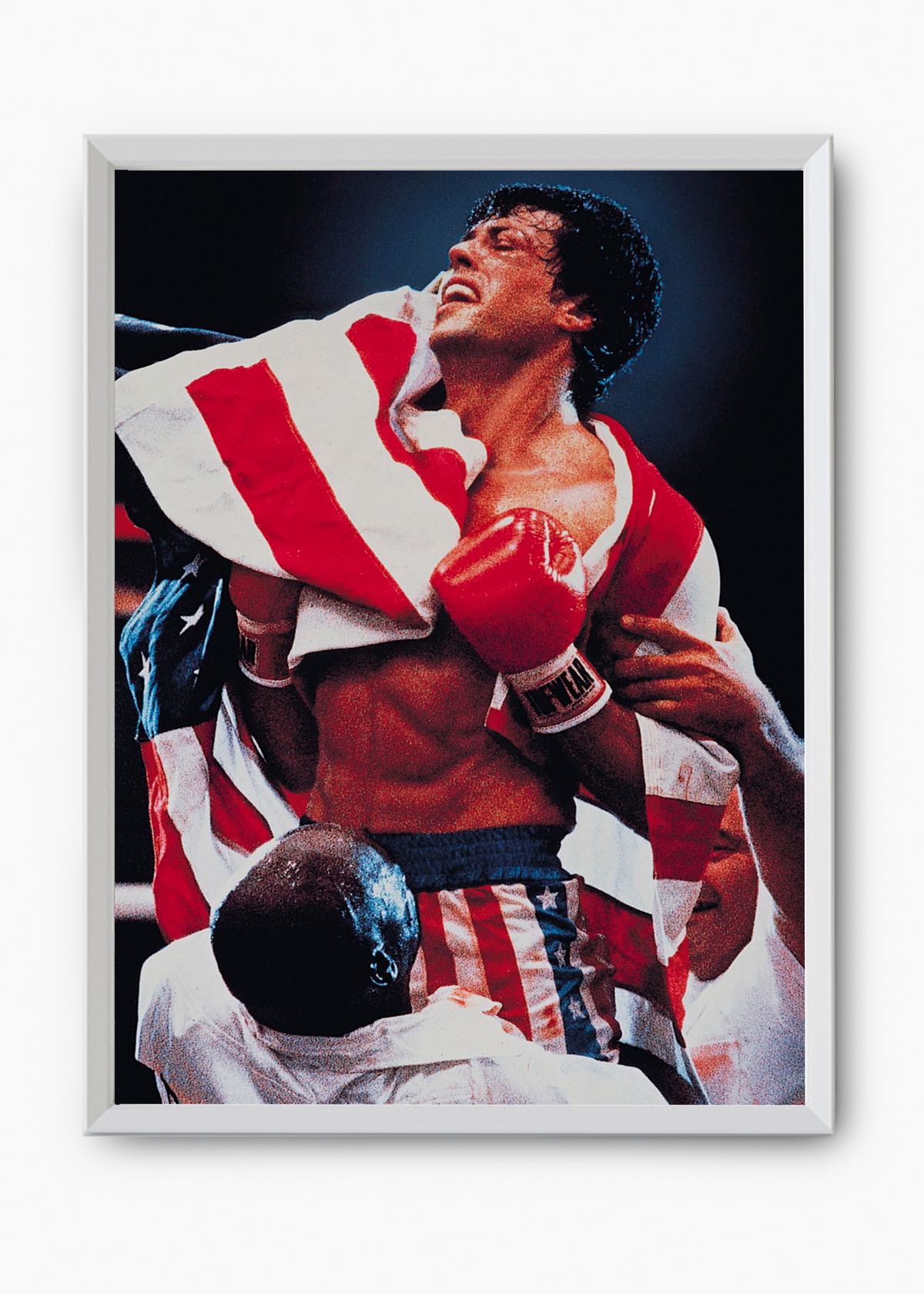 Quadro Rocky Balboa (Rocky IV) - 8