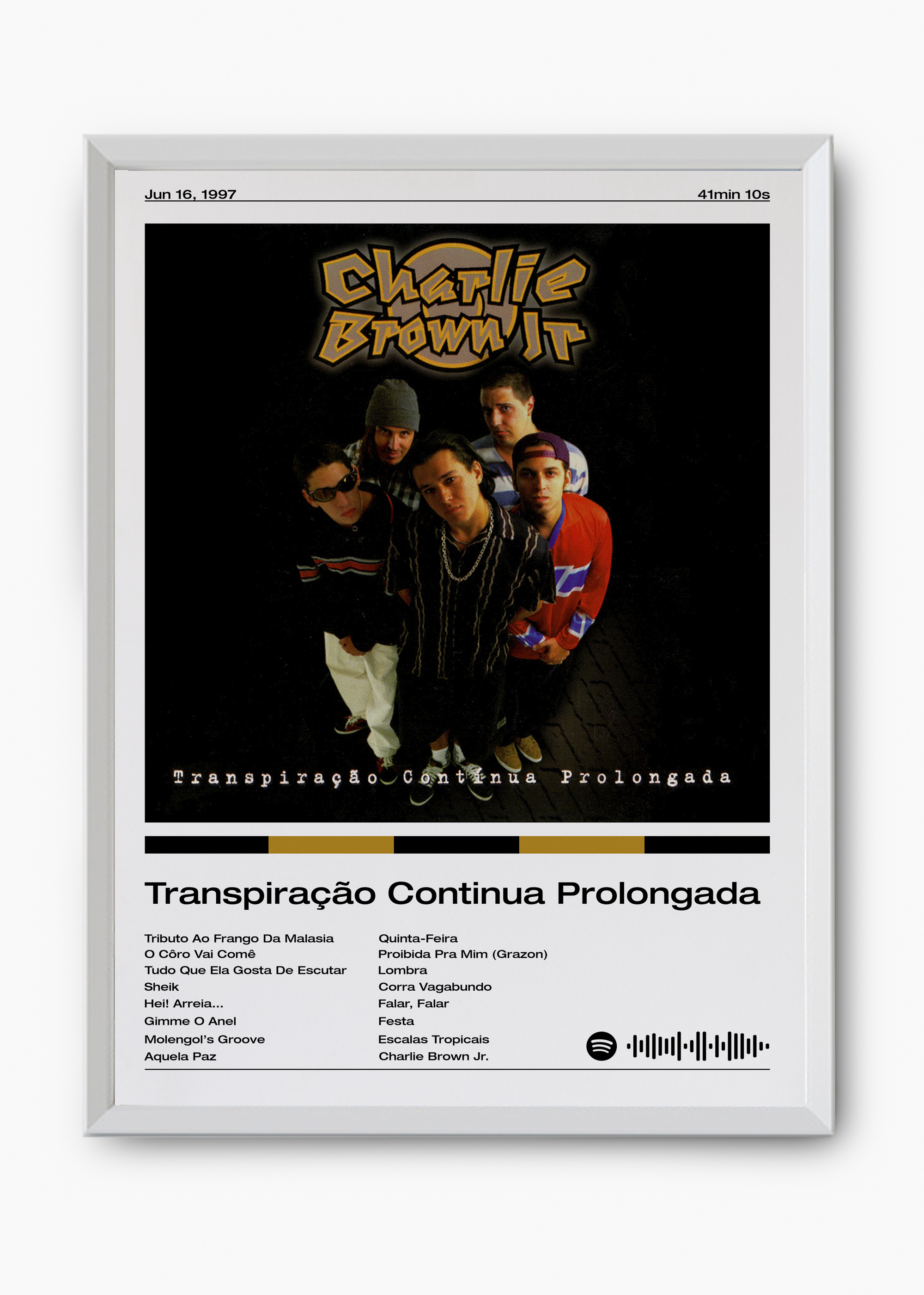 Quadro Charlie Brown Jr. Transpiração Continua Prolongada - 8