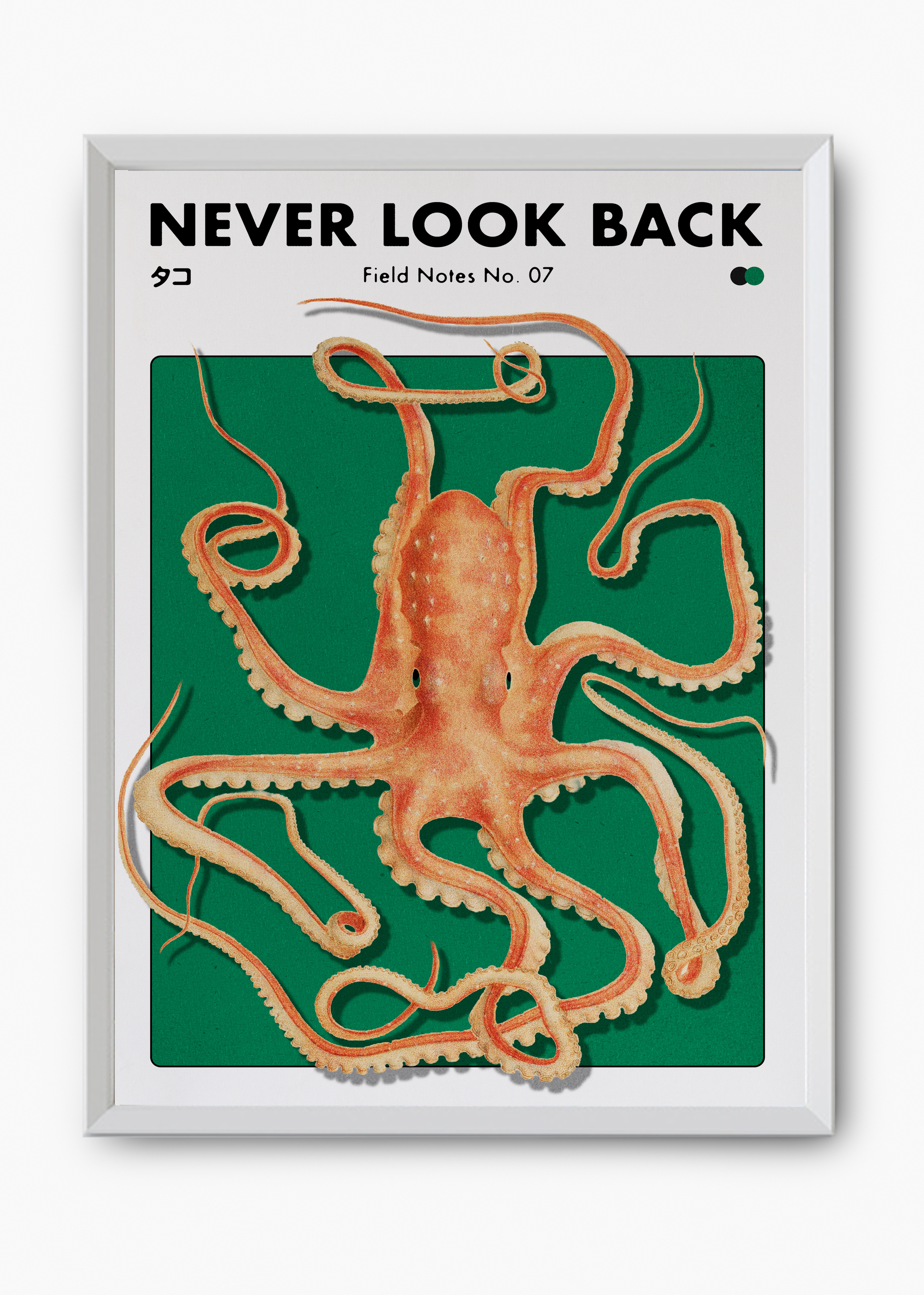 Quadro Never Look Back - 8