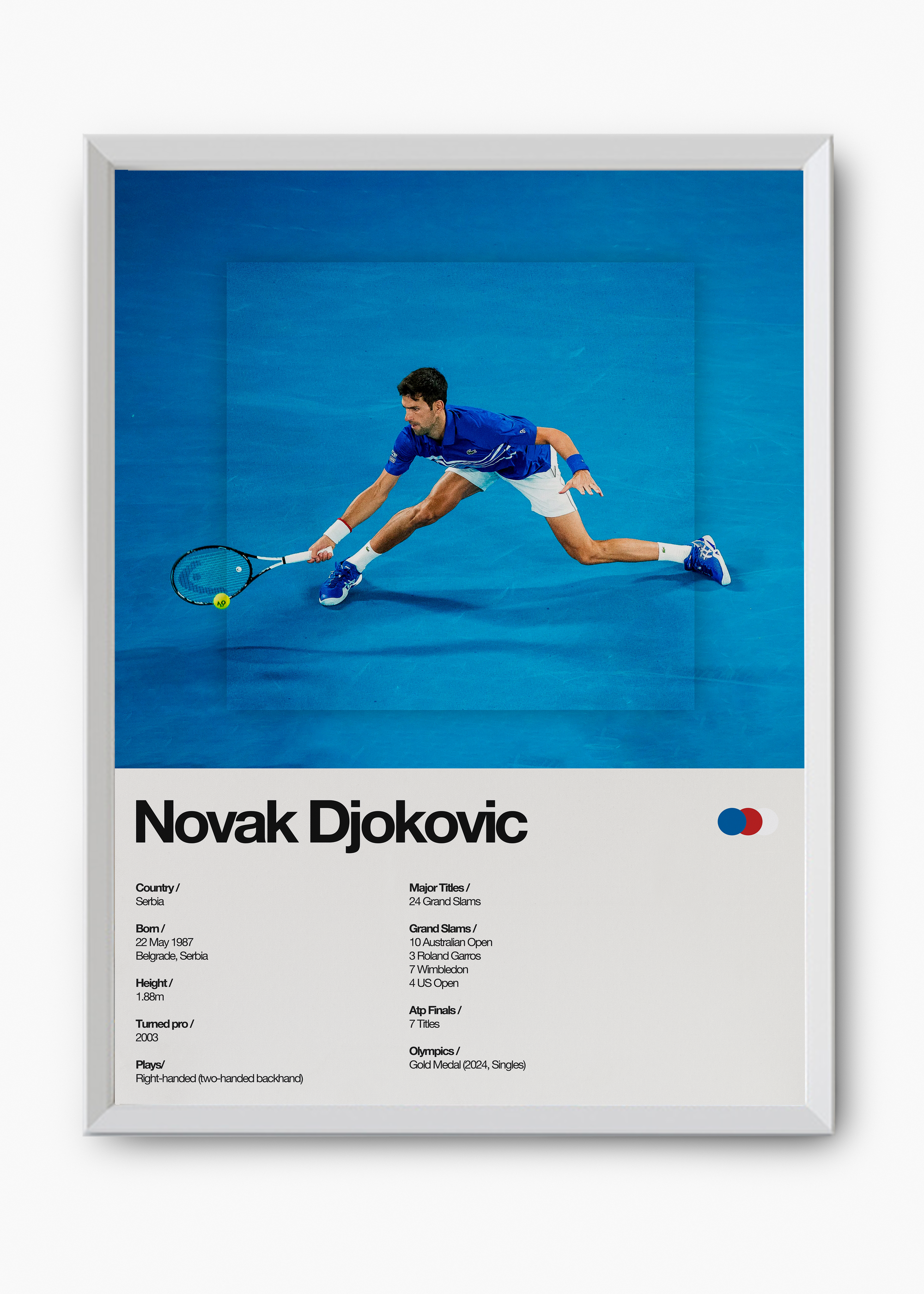 Quadro Novak Djokovic - 8