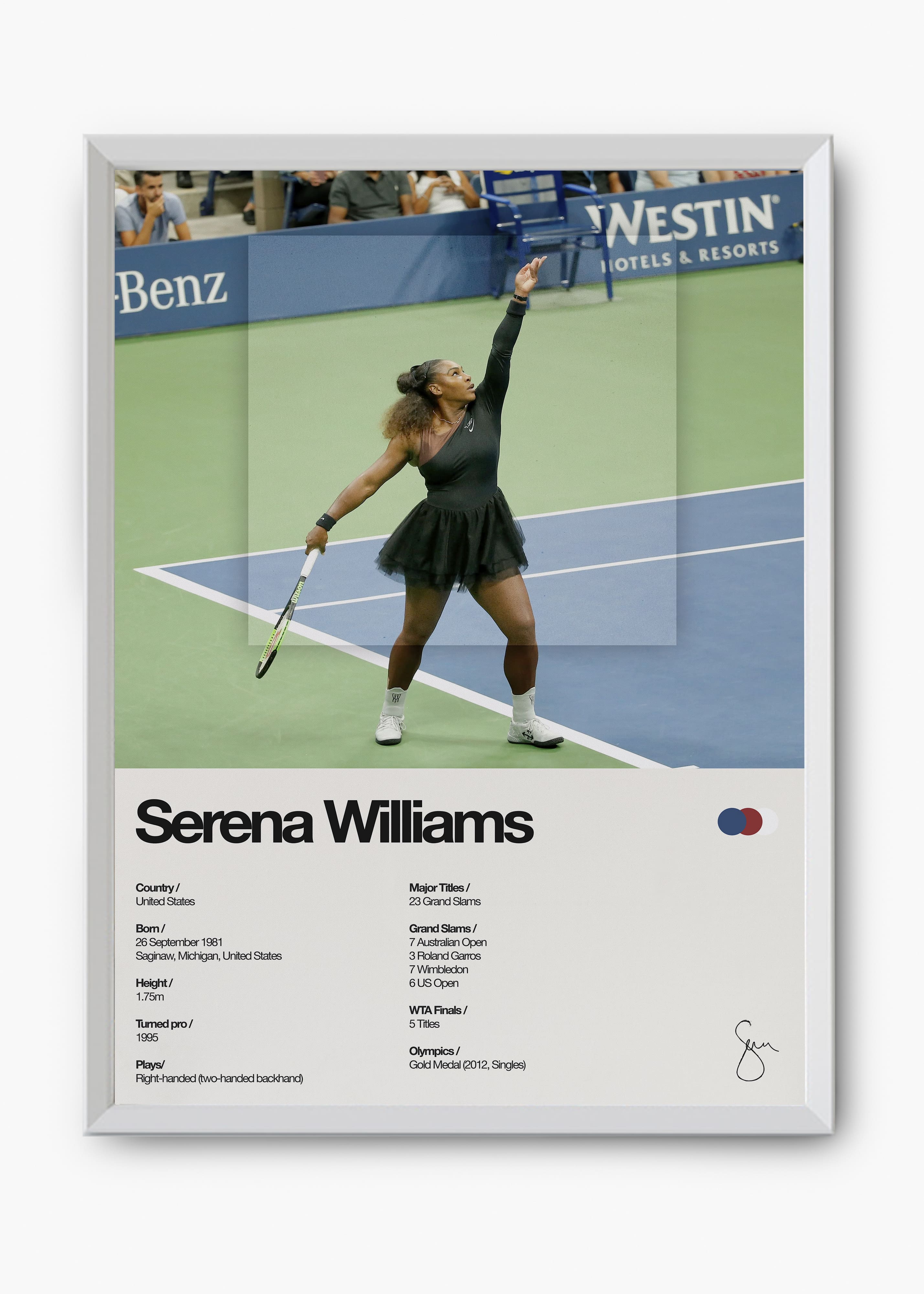 Quadro Serena Williams
