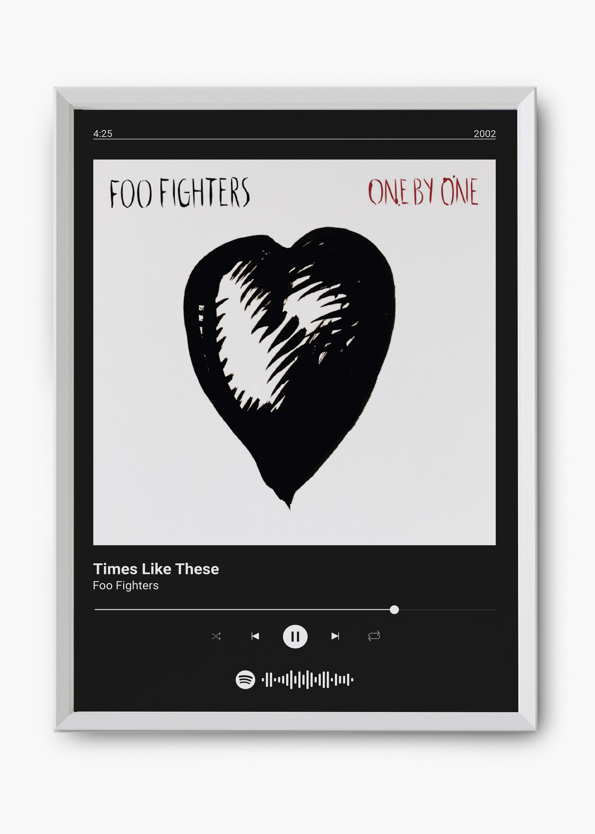 Quadro Foo Fighters Times Like These - 8