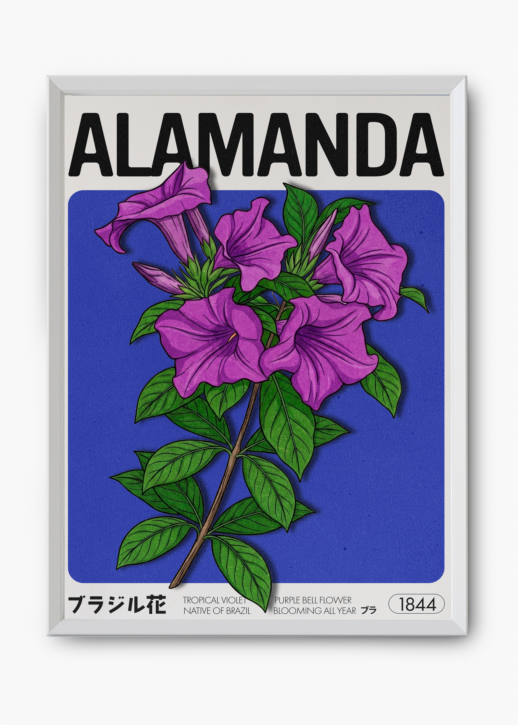 Quadro Alamanda - 8
