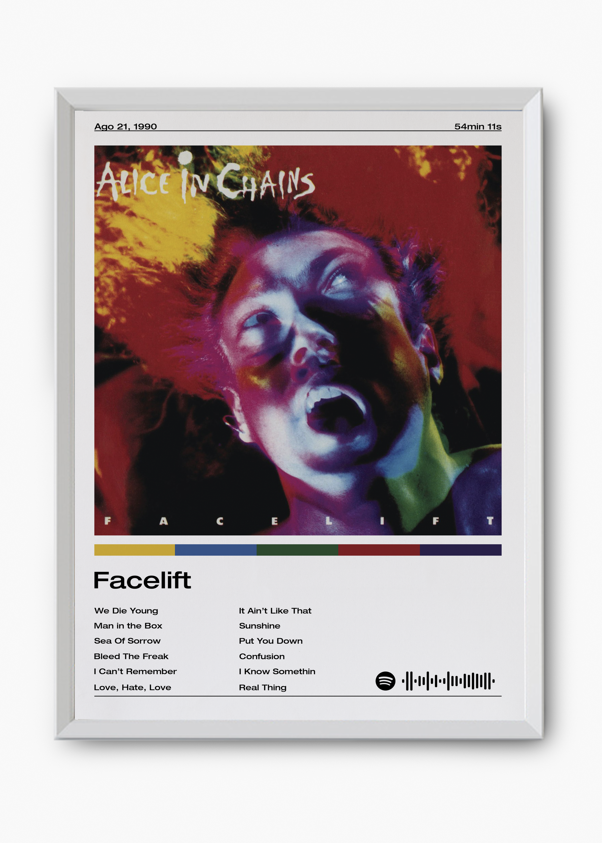Quadro Alice in Chains Facelift - 8