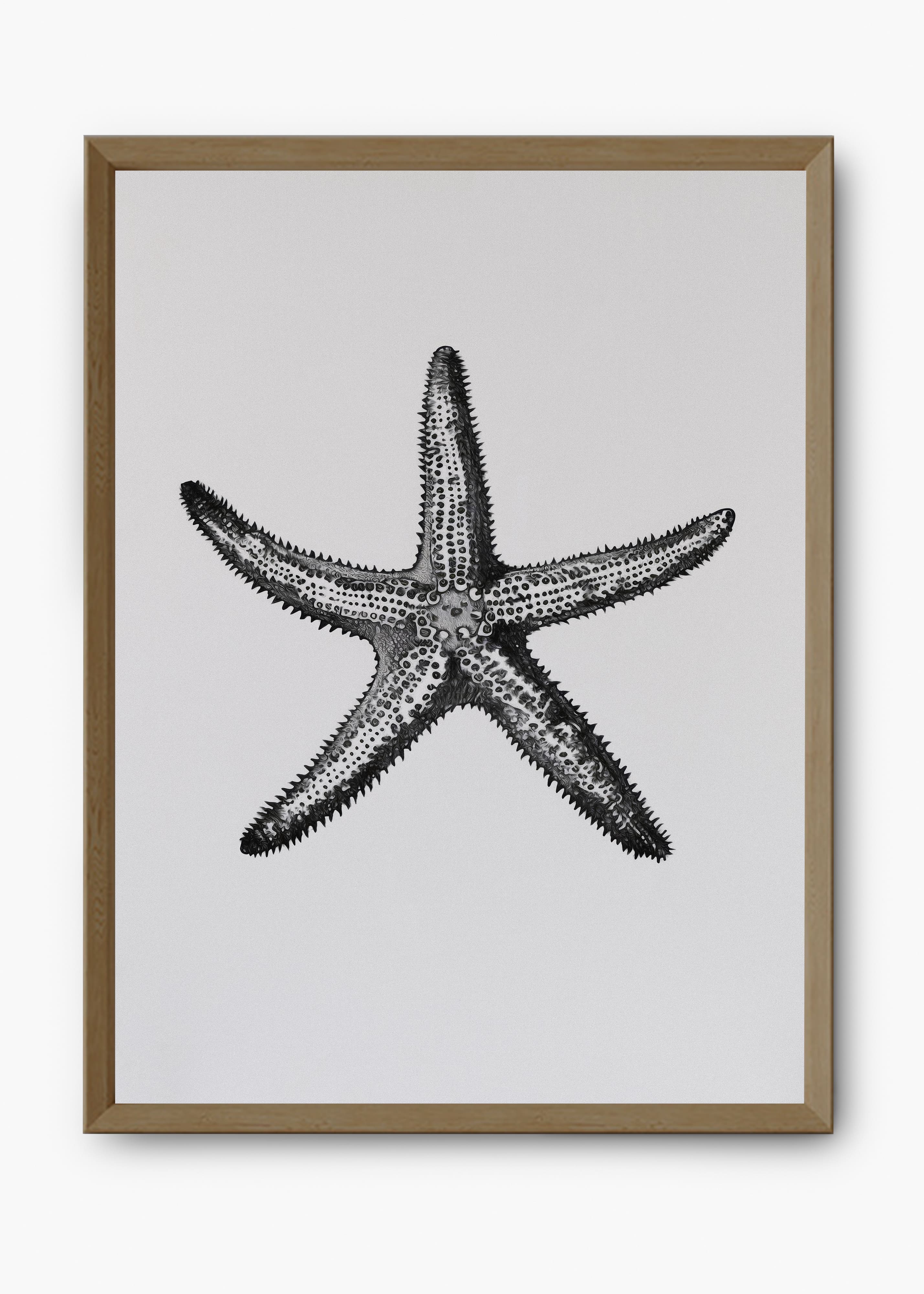 Quadro Starfish