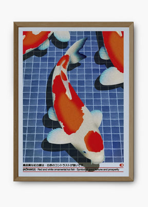 Quadro Koi