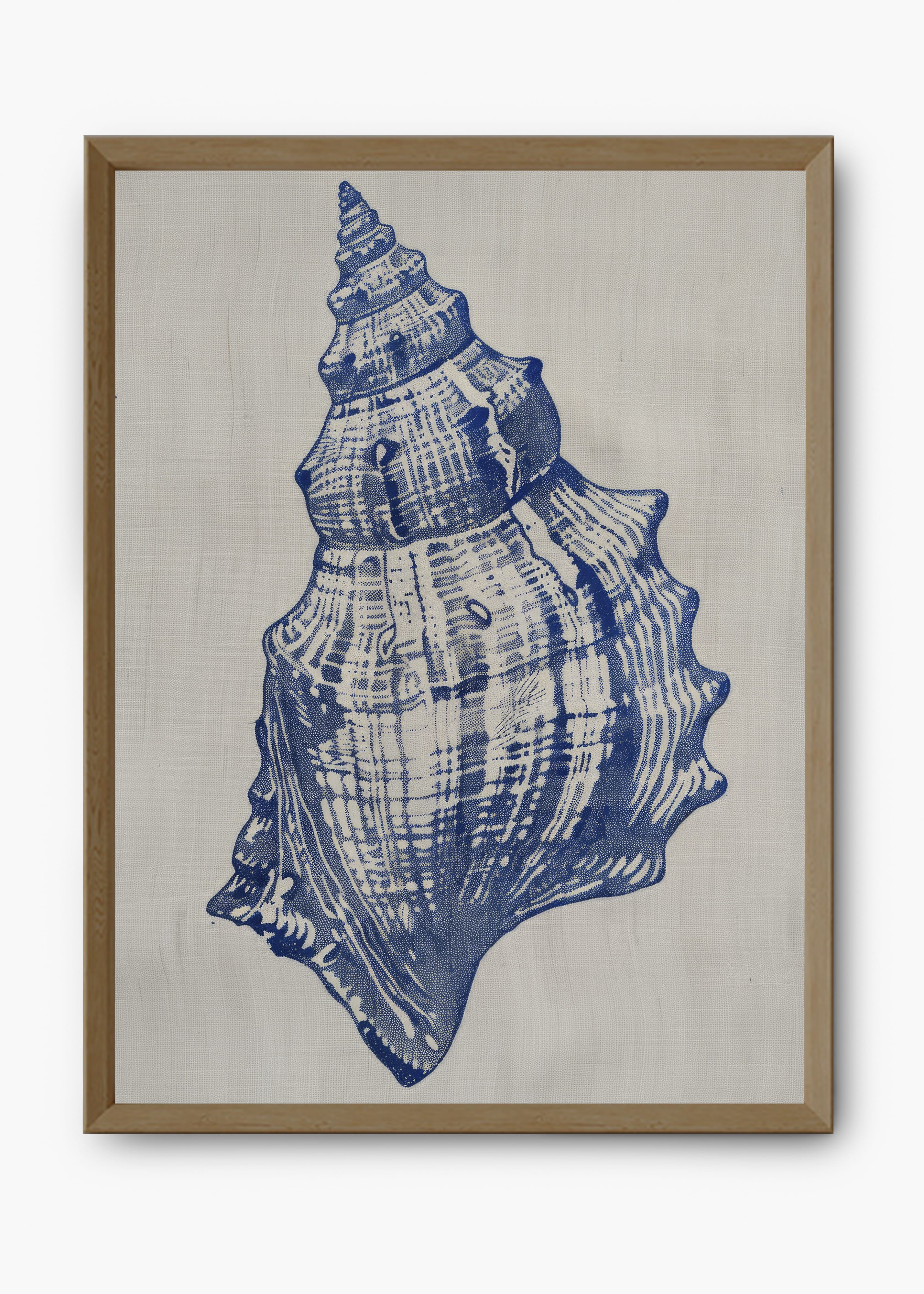 Quadro Shells I