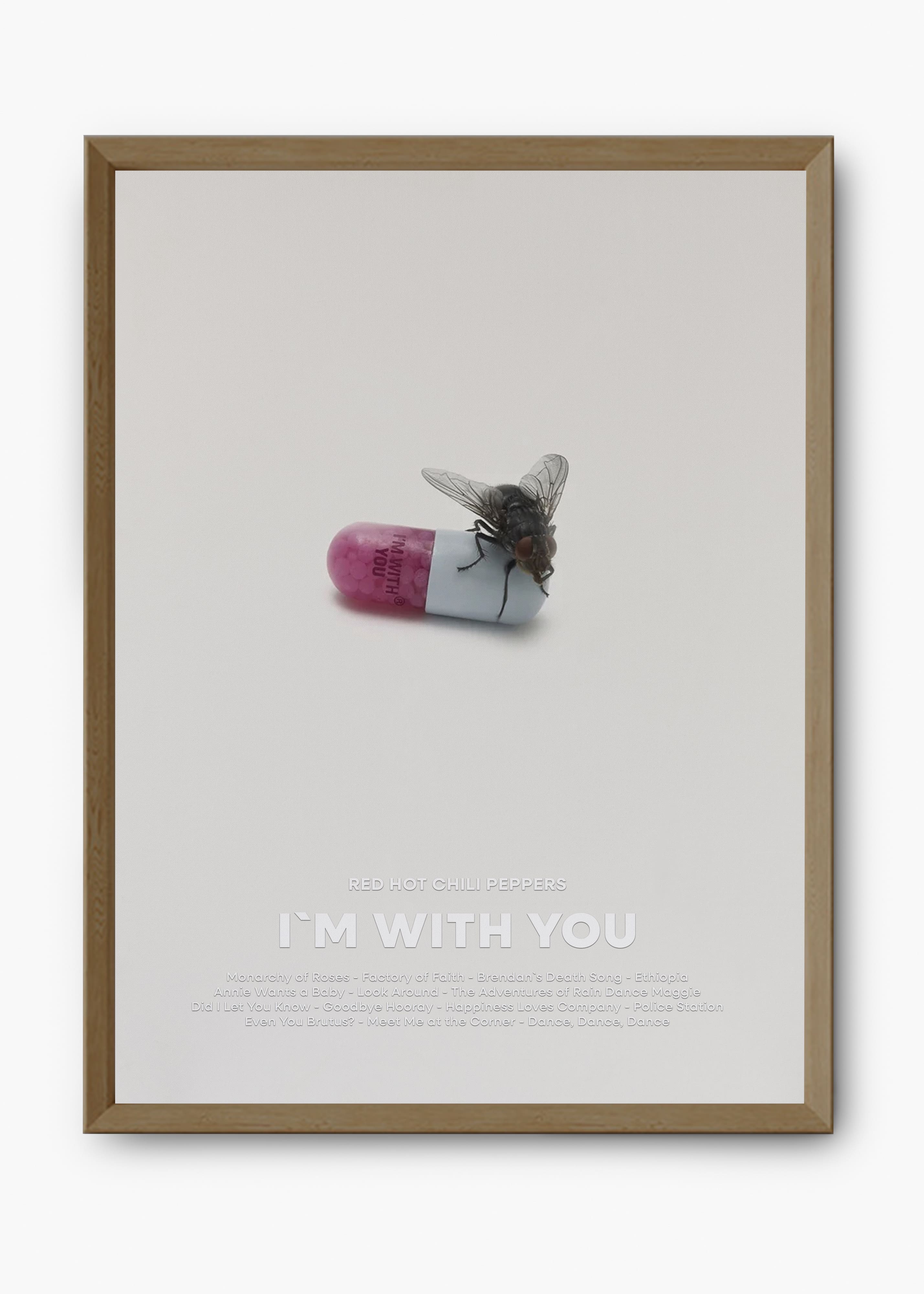 Quadro Red Hot Chili Peppers I'm With You Capa