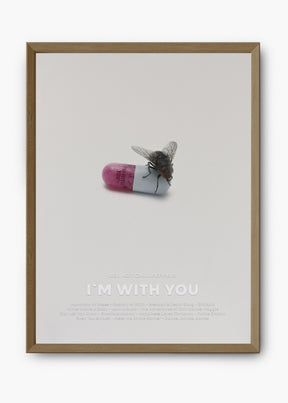 Quadro Red Hot Chili Peppers I'm With You Capa