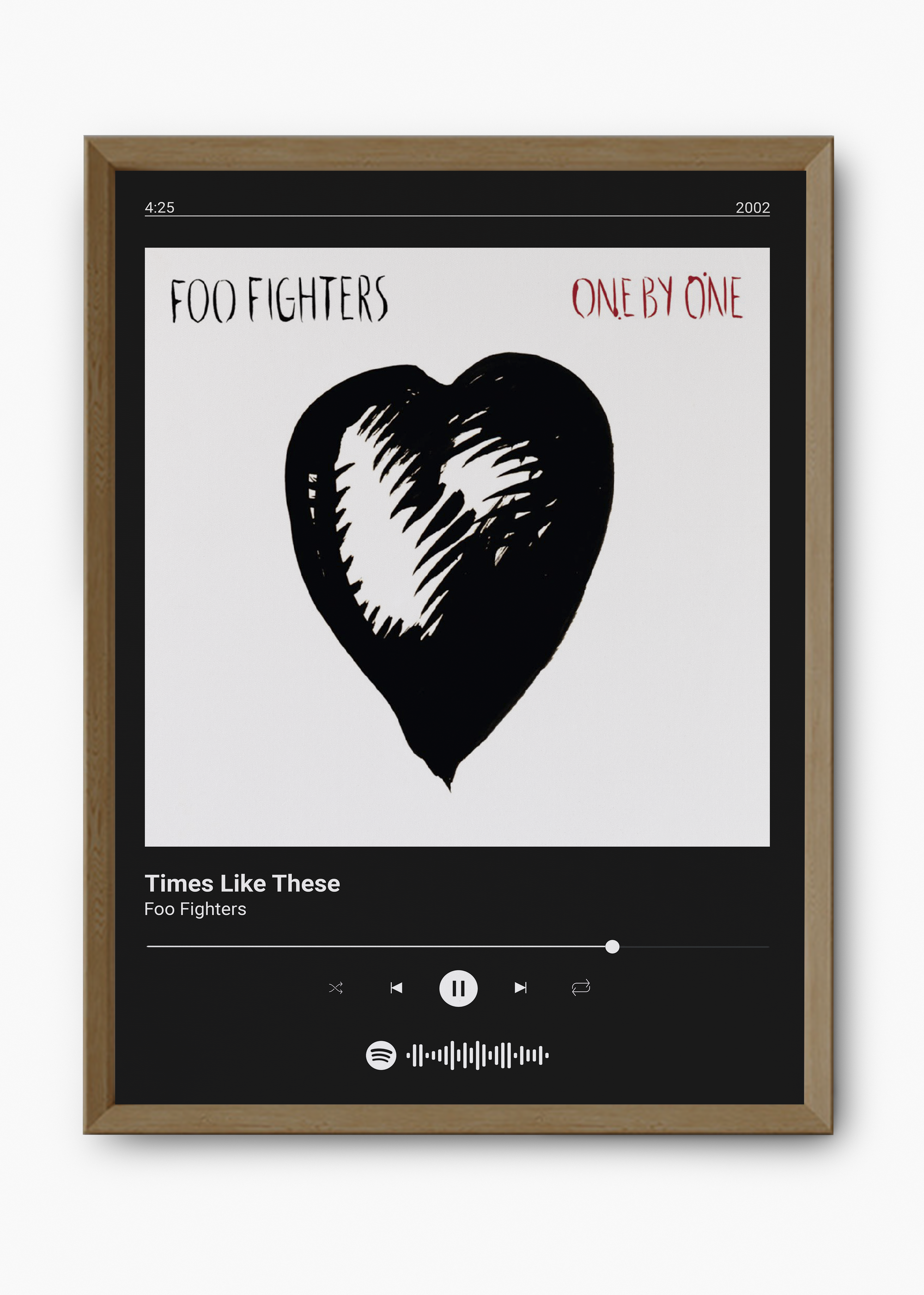 Quadro Foo Fighters Times Like These - 9