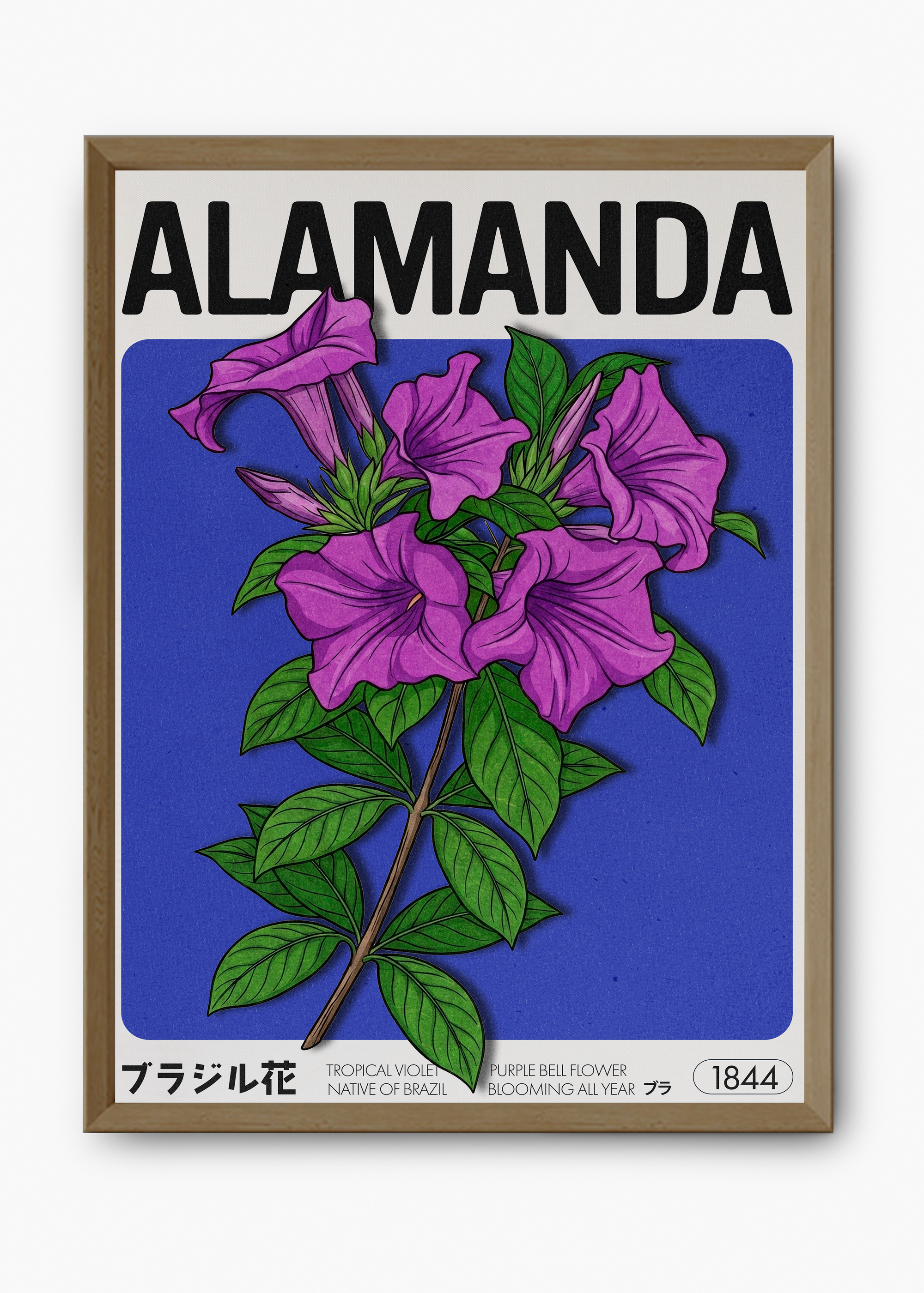 Quadro Alamanda - 9