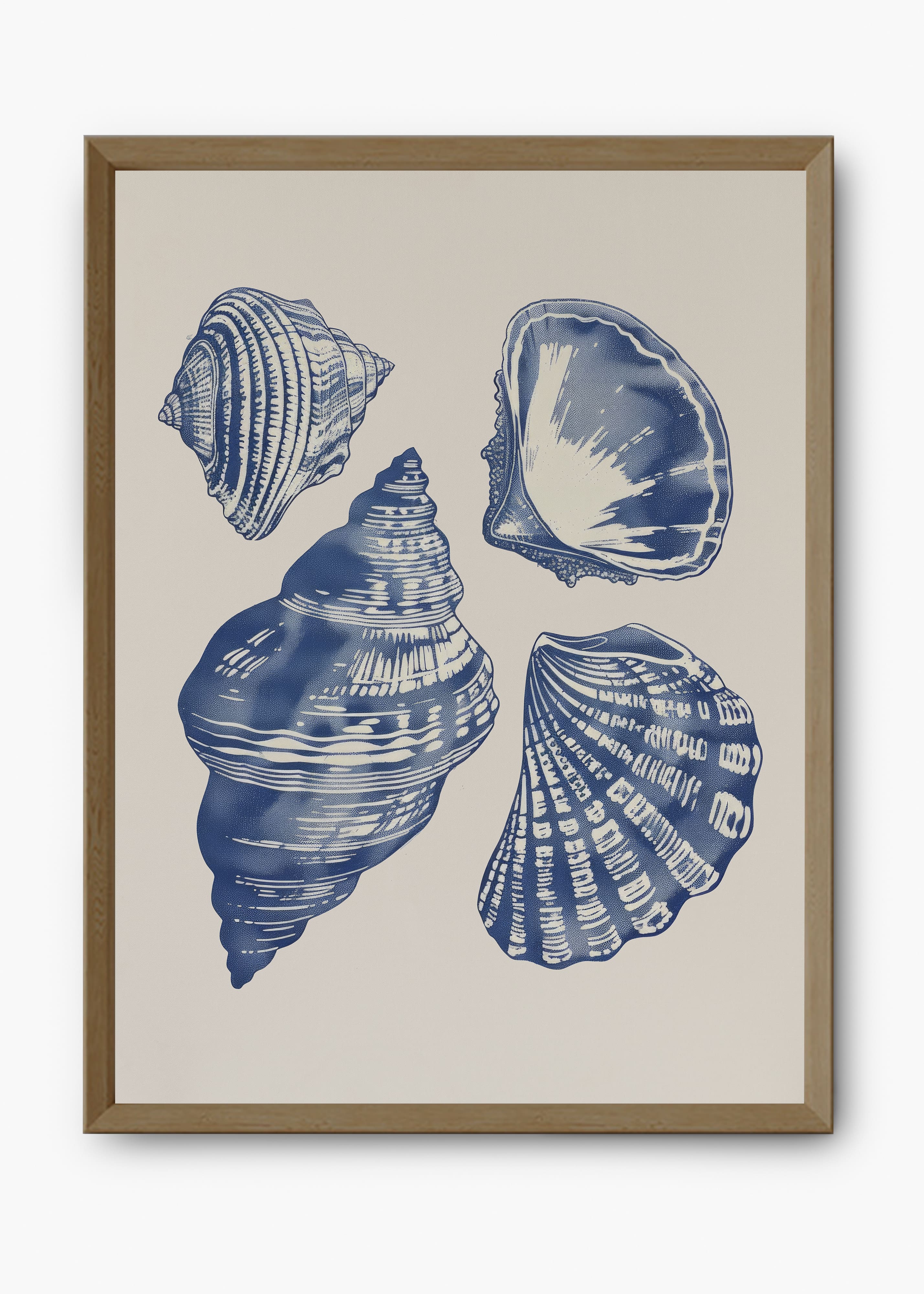 Quadro Shells II