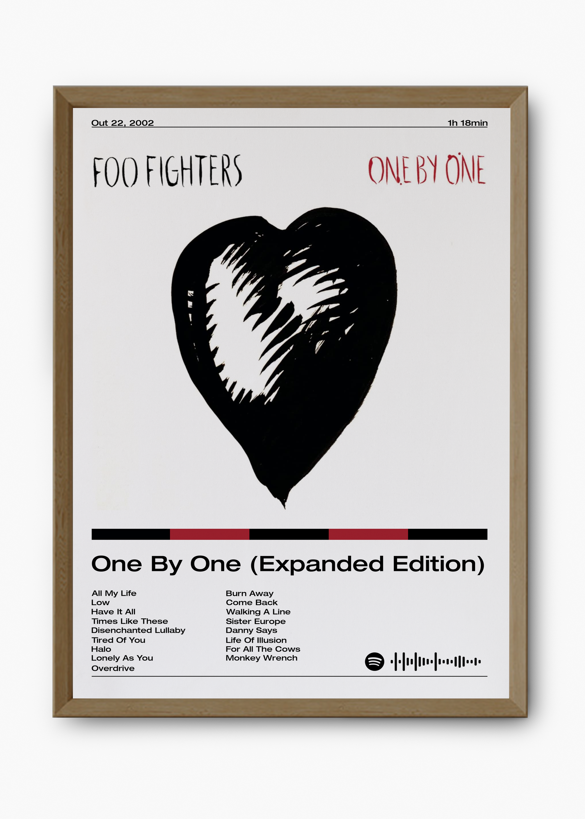 Quadro Foo Fighters One by One (Expanded Edition) - 9