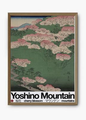 Quadro Mountain Yosh