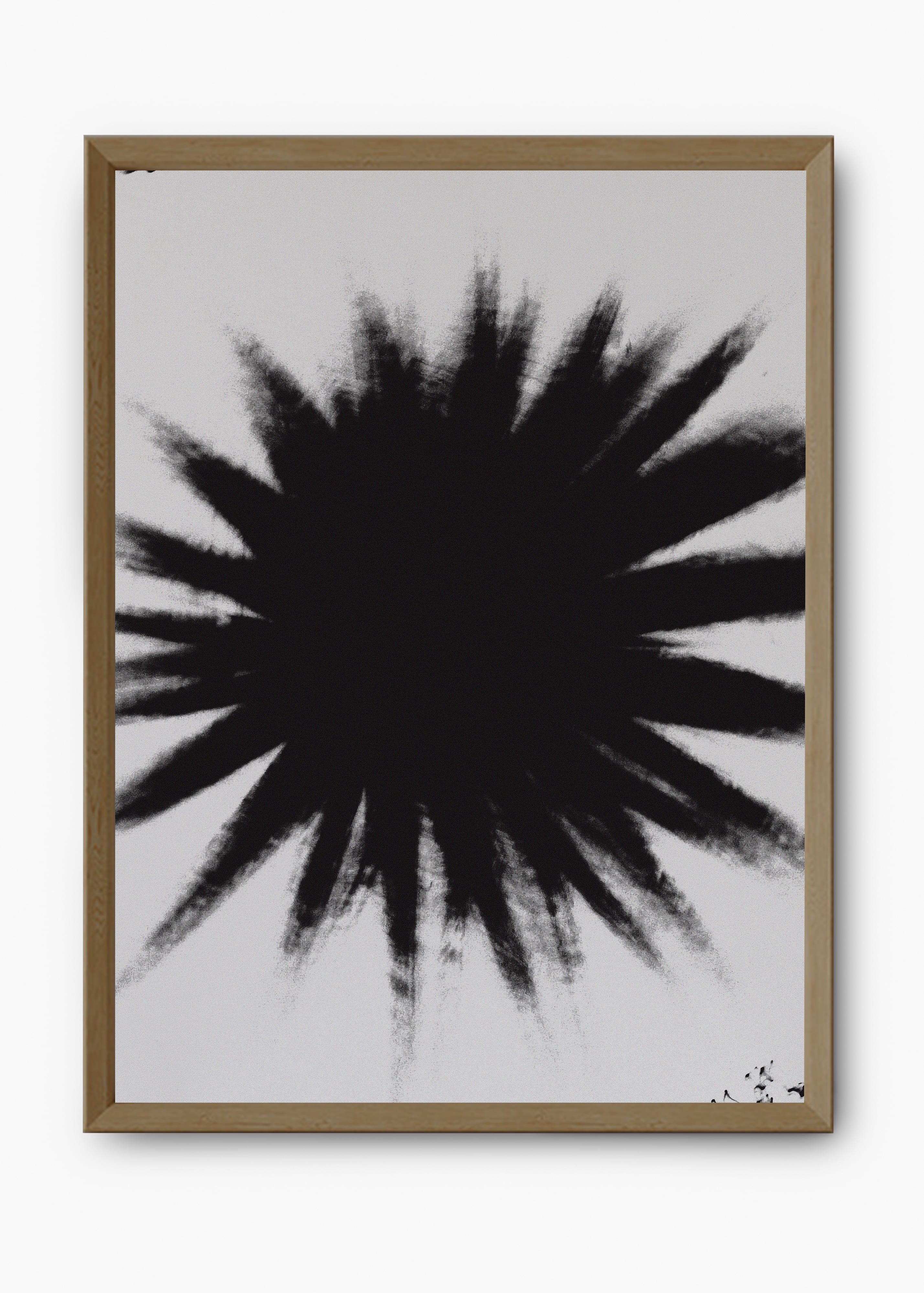 Quadro Star