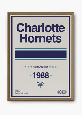Quadro NBA Charlotte Hornets