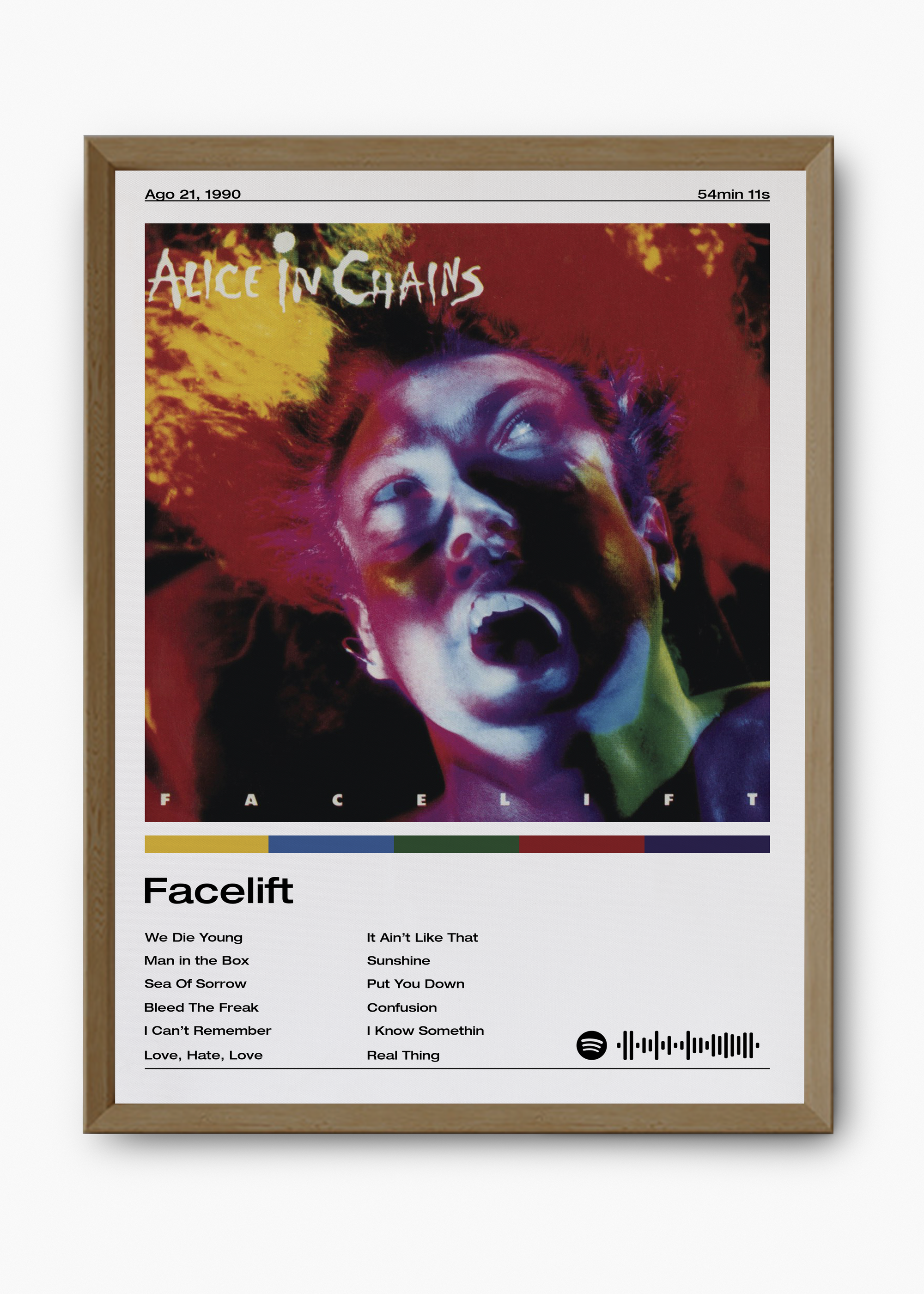 Quadro Alice in Chains Facelift - 9