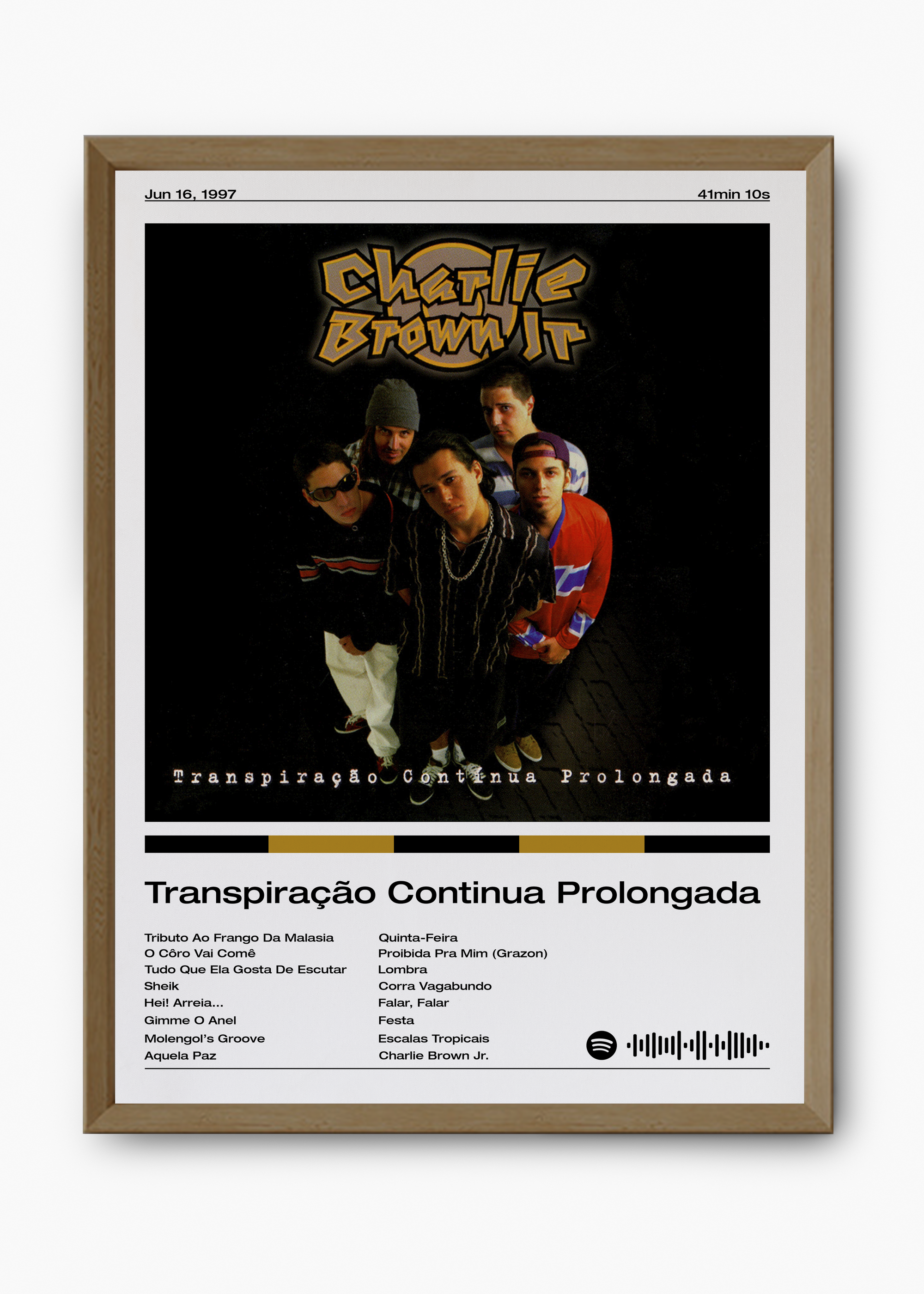 Quadro Charlie Brown Jr. Transpiração Continua Prolongada - 9