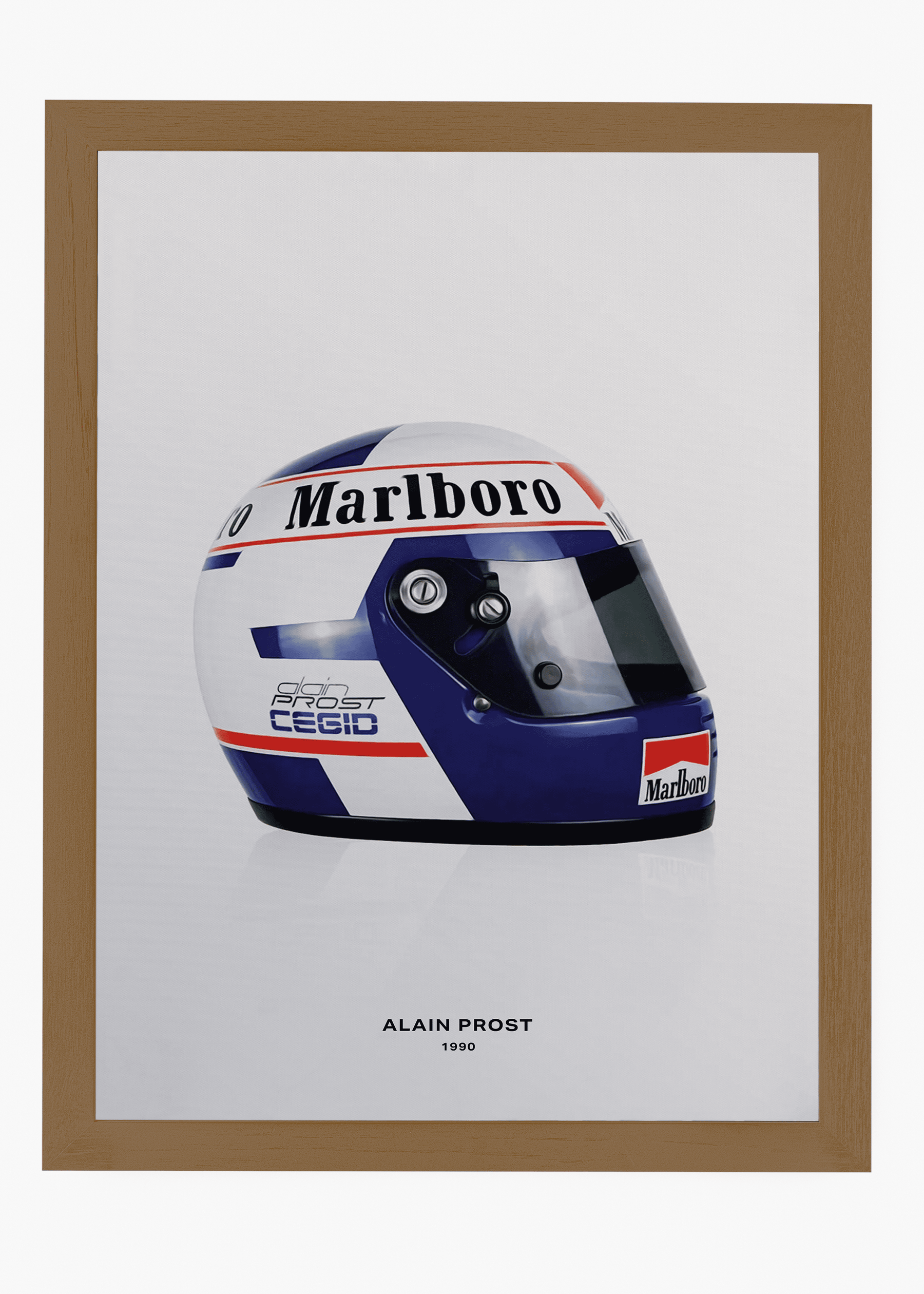 Quadro Alan Prost 1990