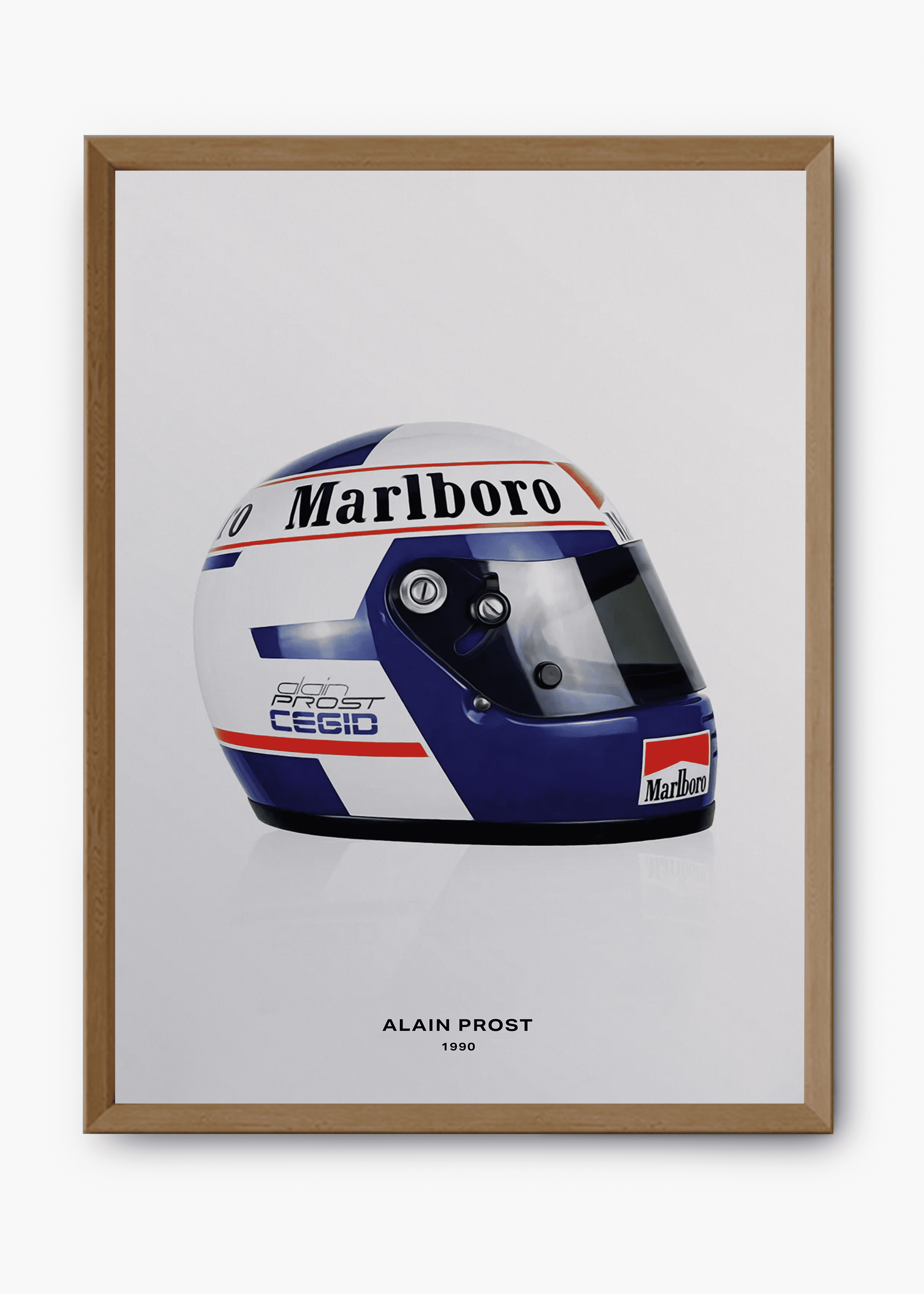 Quadro Alan Prost 1990