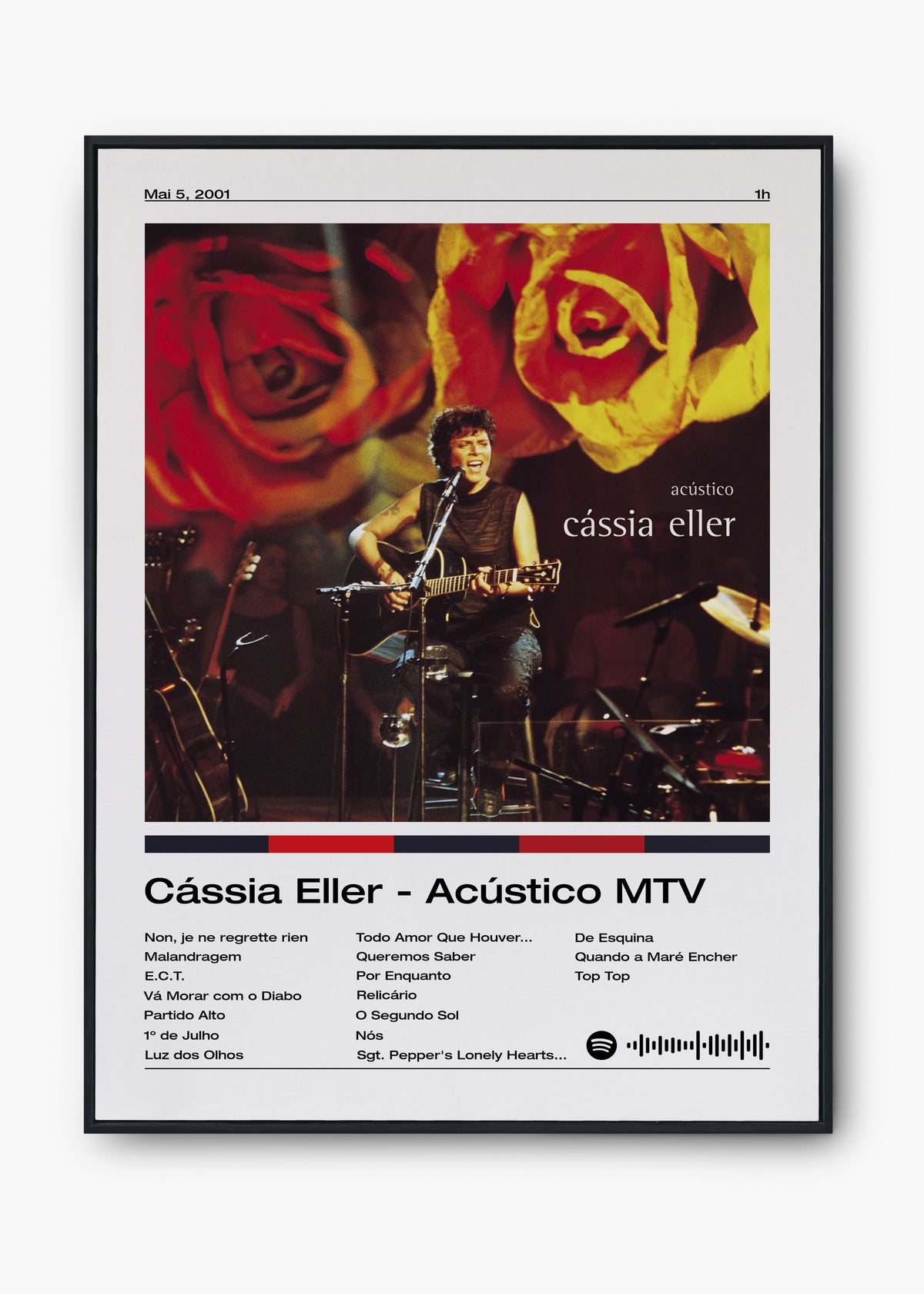 Quadro Cássia Eller Acústico MTV