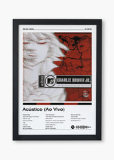 Quadro Charlie Brown Jr. Acústico MTV