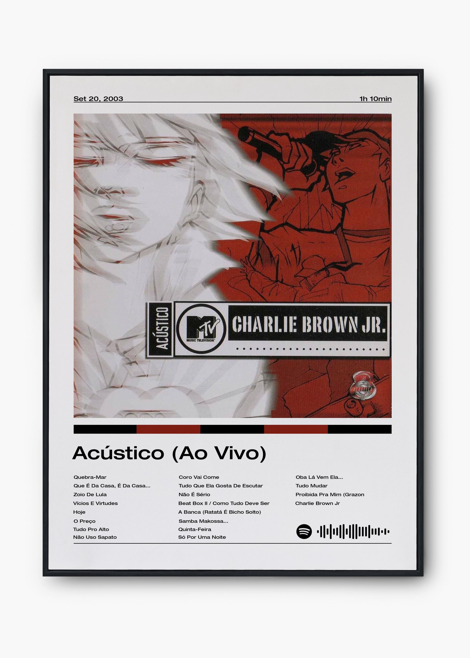 Quadro Charlie Brown Jr. Acústico MTV