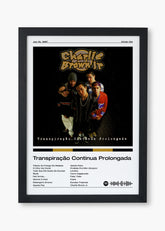Quadro Charlie Brown Jr. Transpiração Continua Prolongada