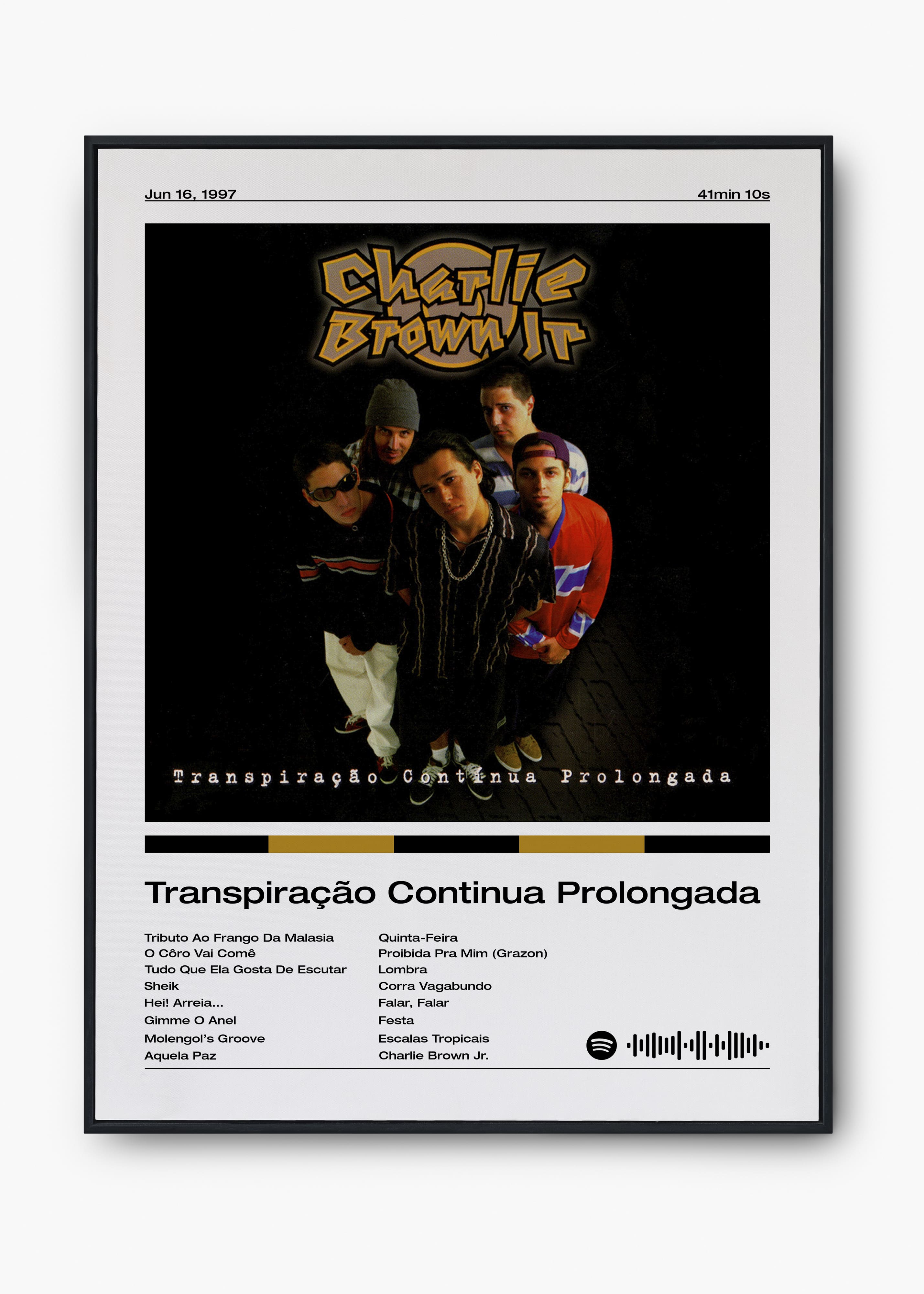 Quadro Charlie Brown Jr. Transpiração Contínua Prolongada