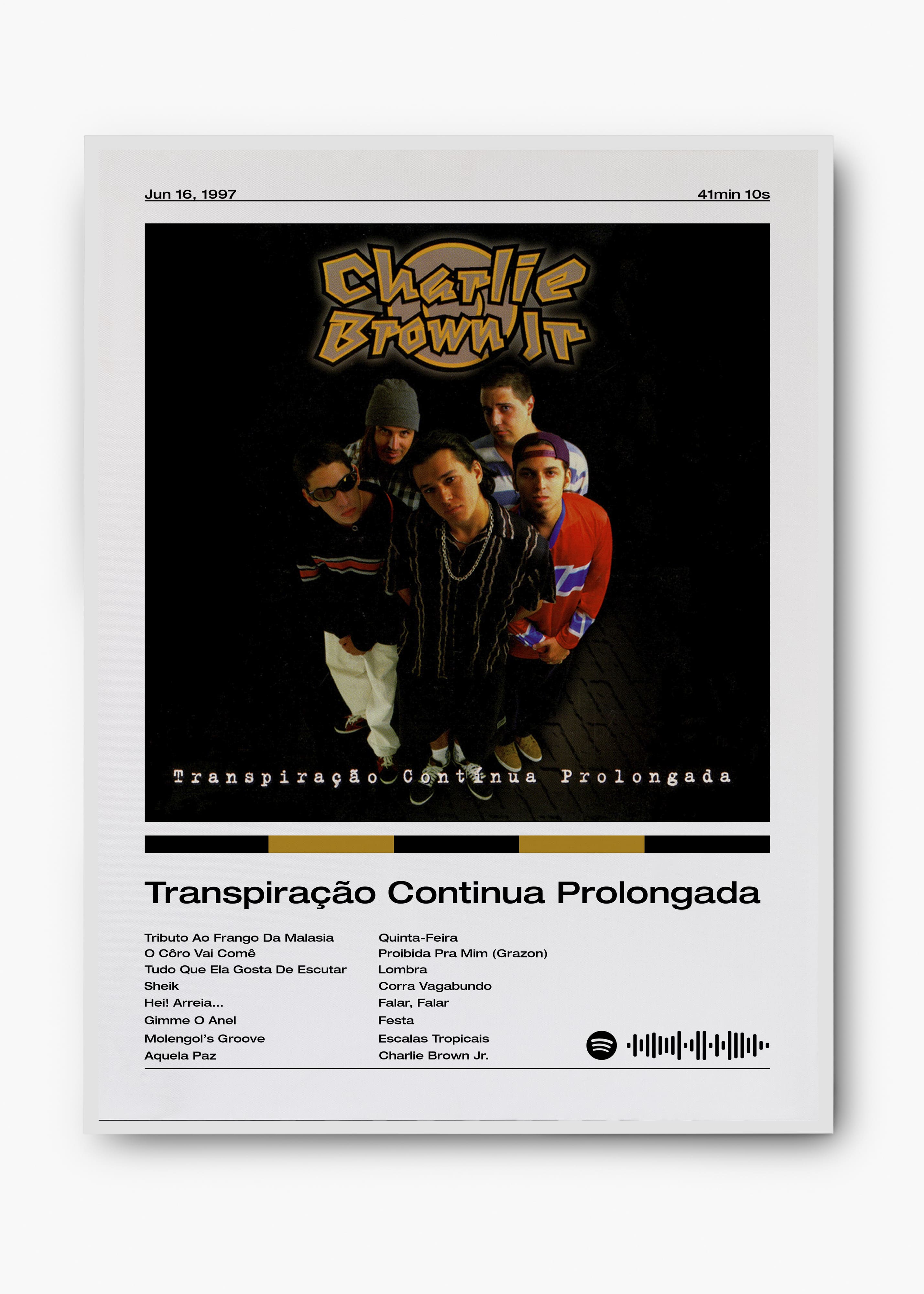 Quadro Charlie Brown Jr. Transpiração Contínua Prolongada
