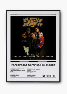 Quadro Charlie Brown Jr. Transpiração Continua Prolongada