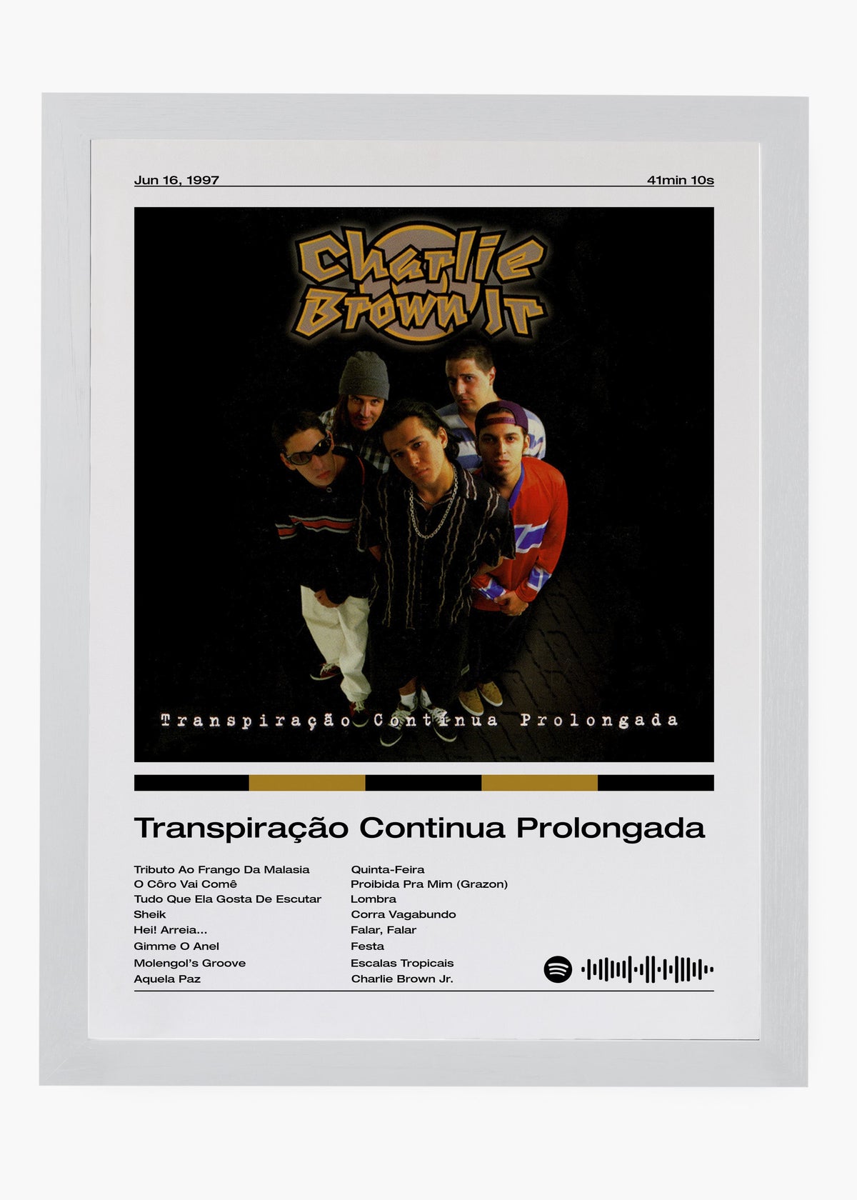 Quadro decorativo Charlie Brown Jr. Transpiração Contínua Prolongada — arte de rock brasileiro para parede | Cübe Quadros