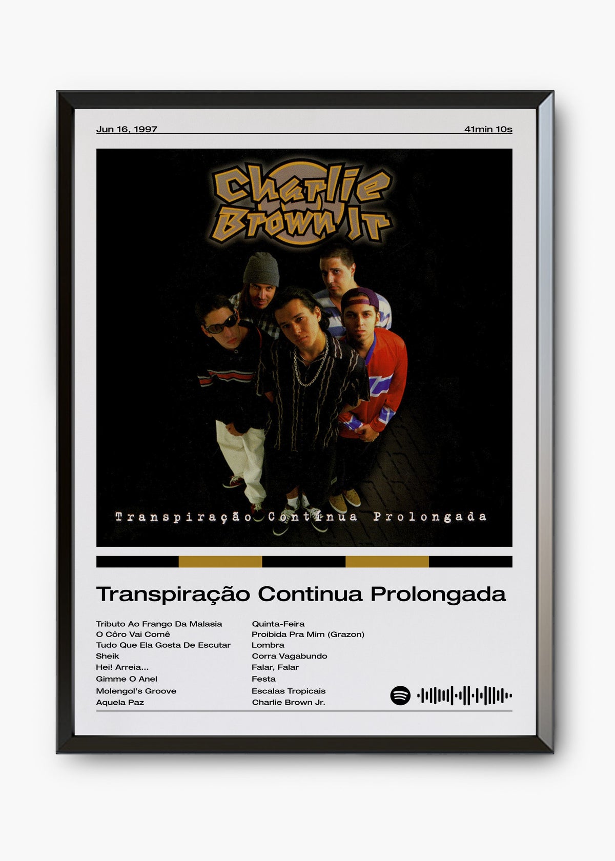 Quadro decorativo Charlie Brown Jr. Transpiração Contínua Prolongada — arte de rock brasileiro para parede | Cübe Quadros