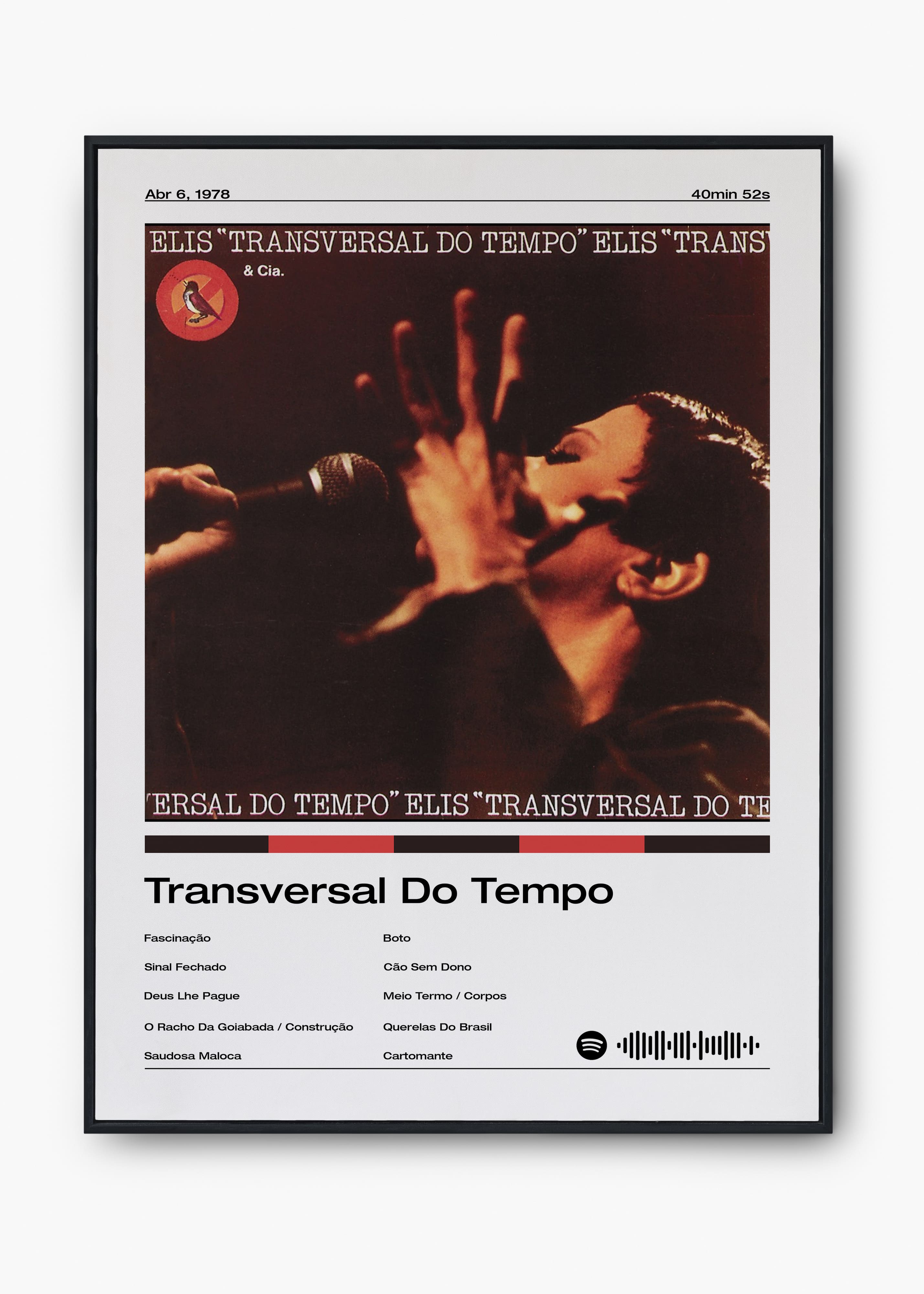 Quadro Elis Regina Transversal Do Tempo