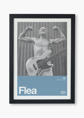 Quadro Flea Silver